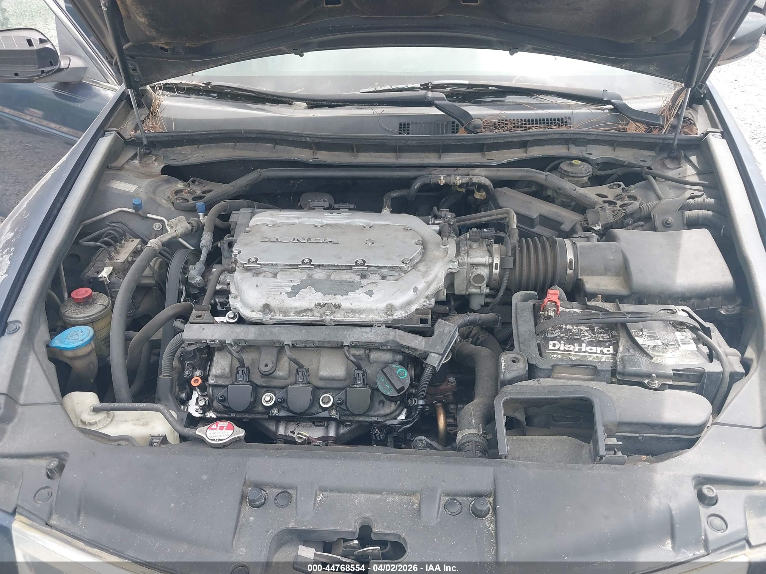 HONDA ACCORD image 10