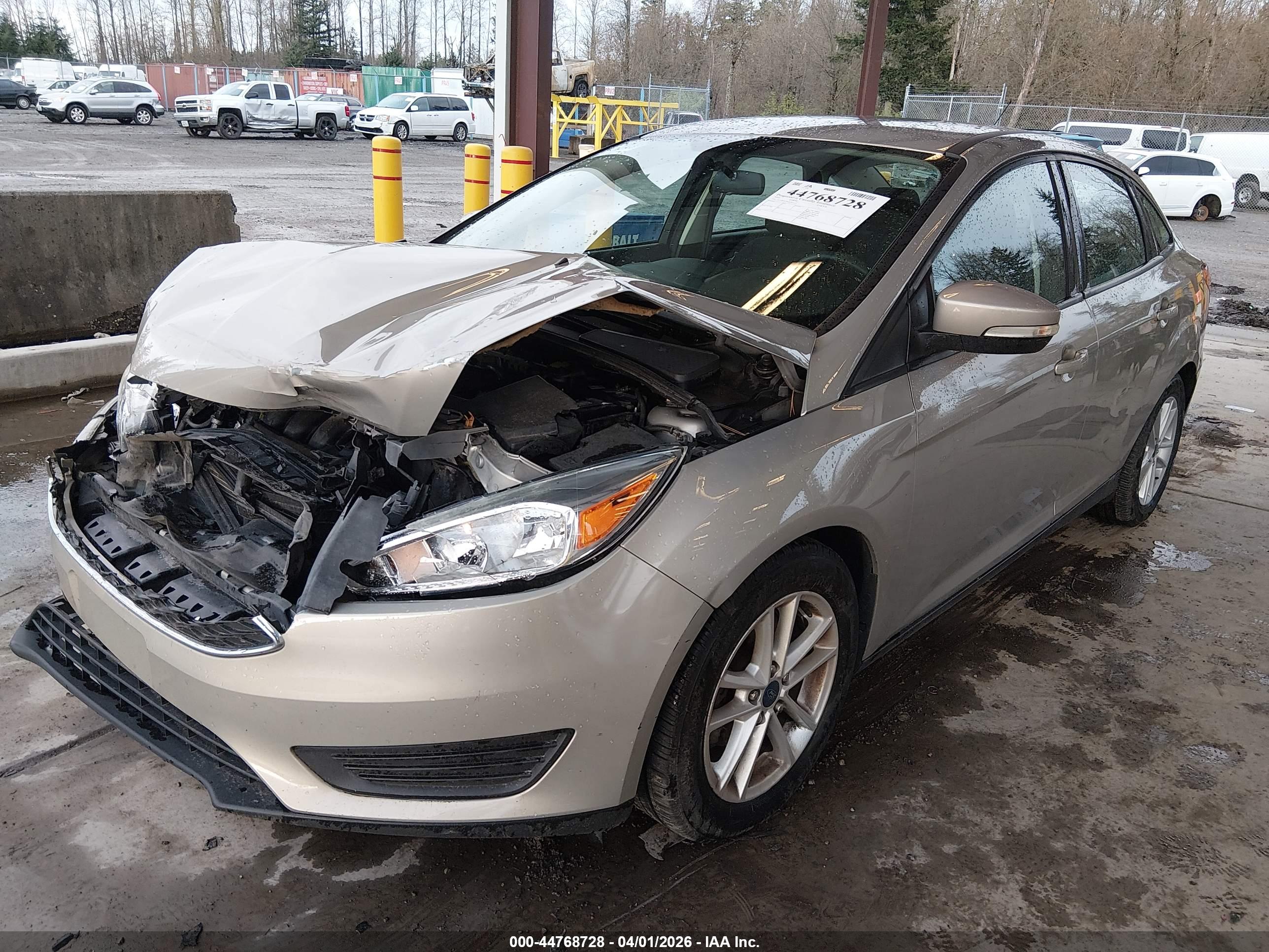 FORD FOCUS image 2