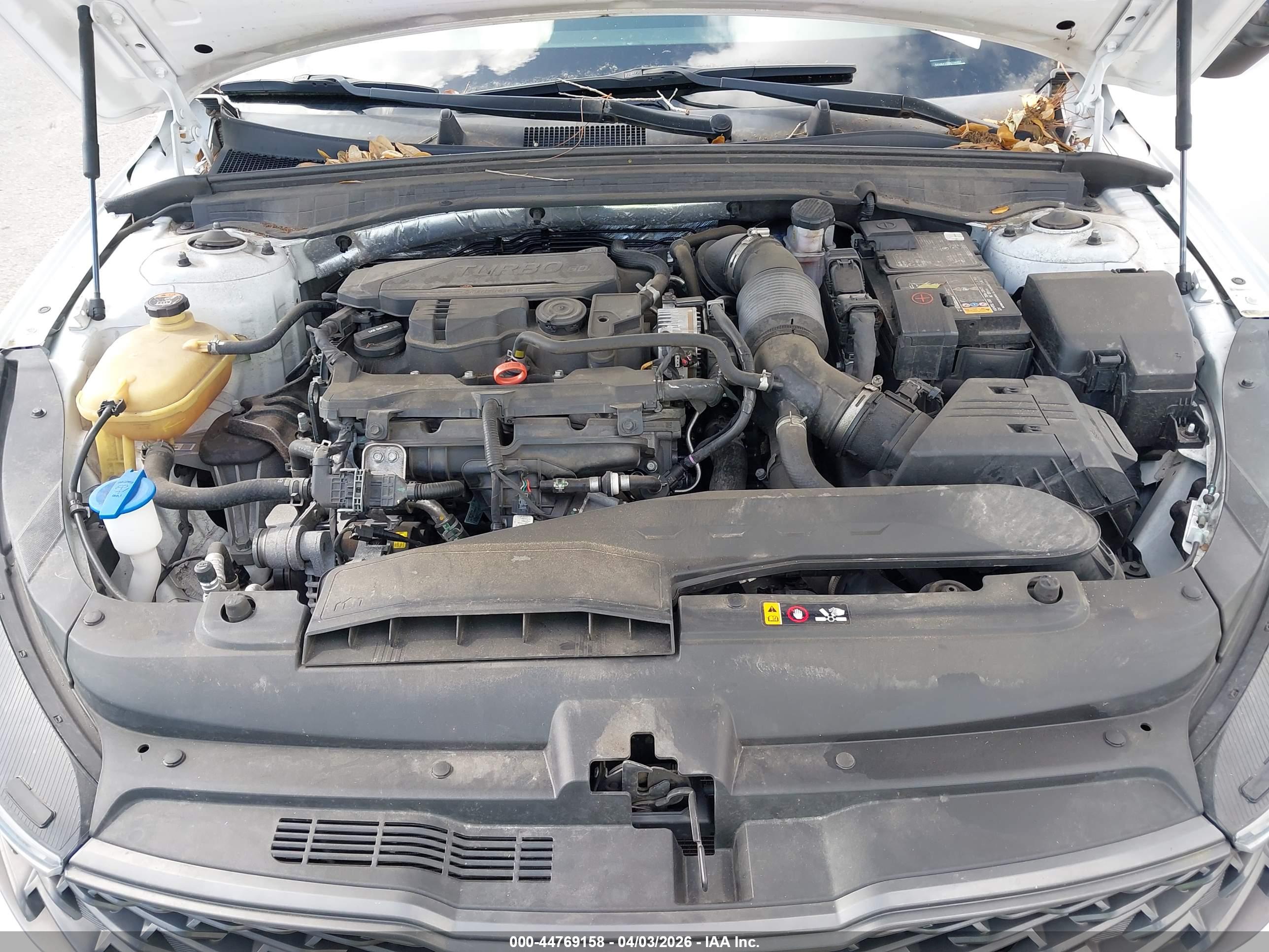 KIA K5 image 10