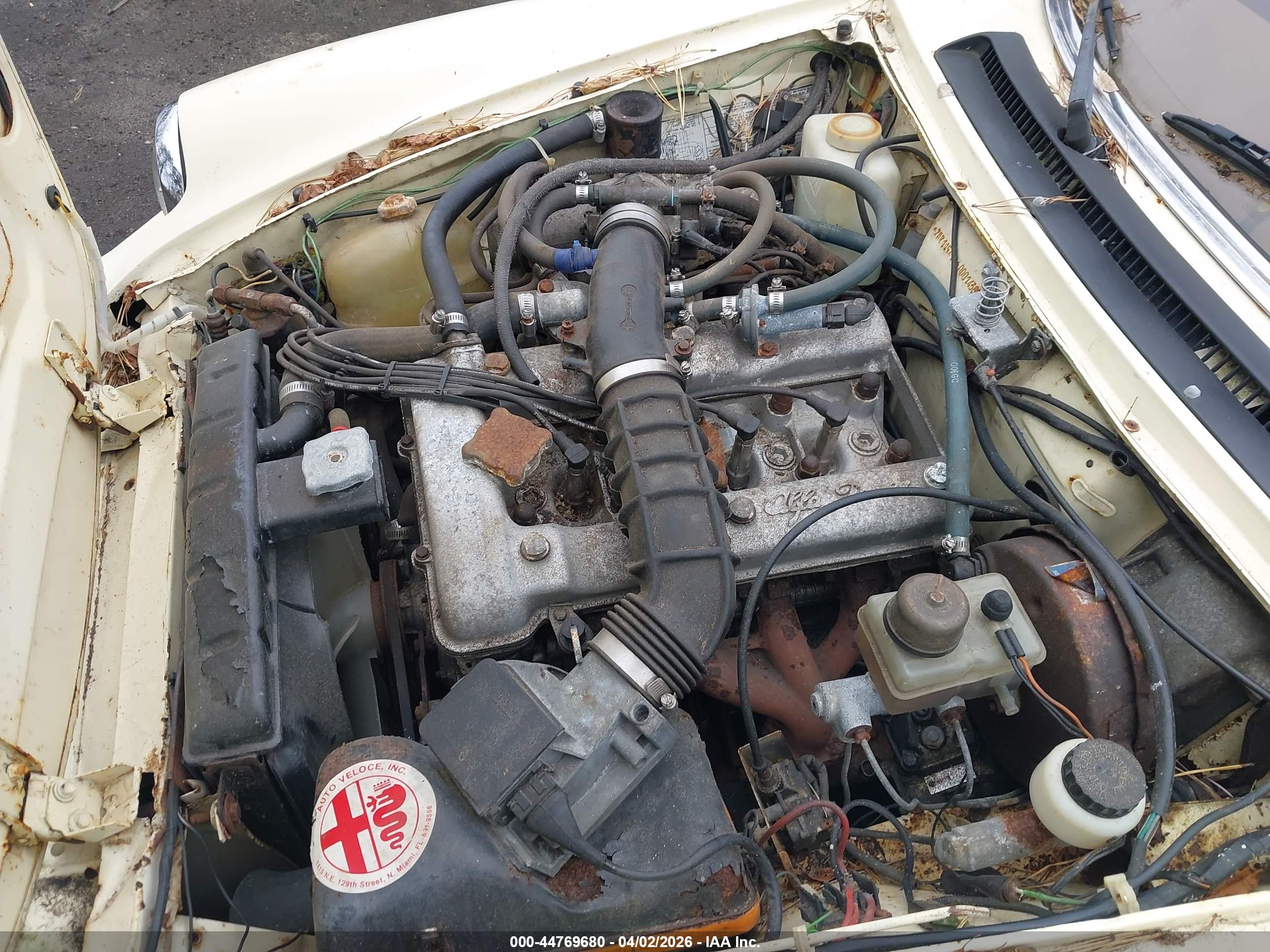 ALFA ROMEO image 10