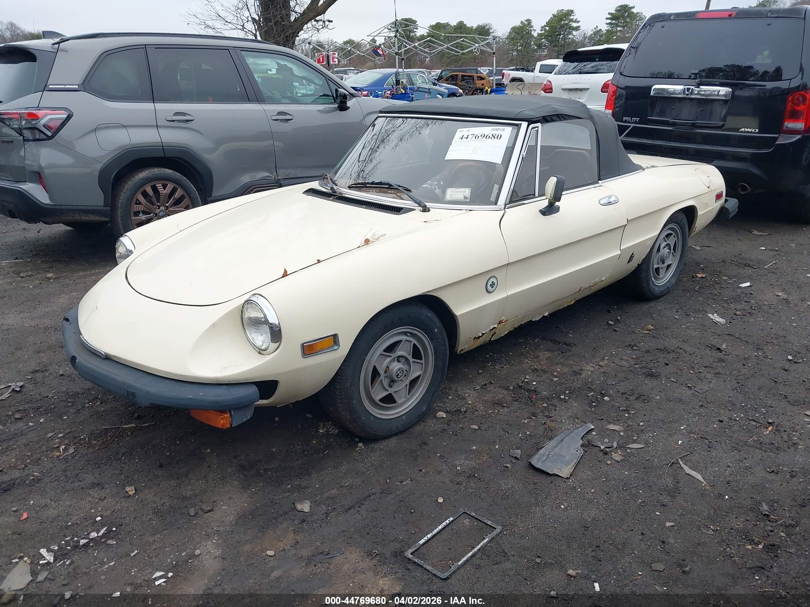 ALFA ROMEO image 2