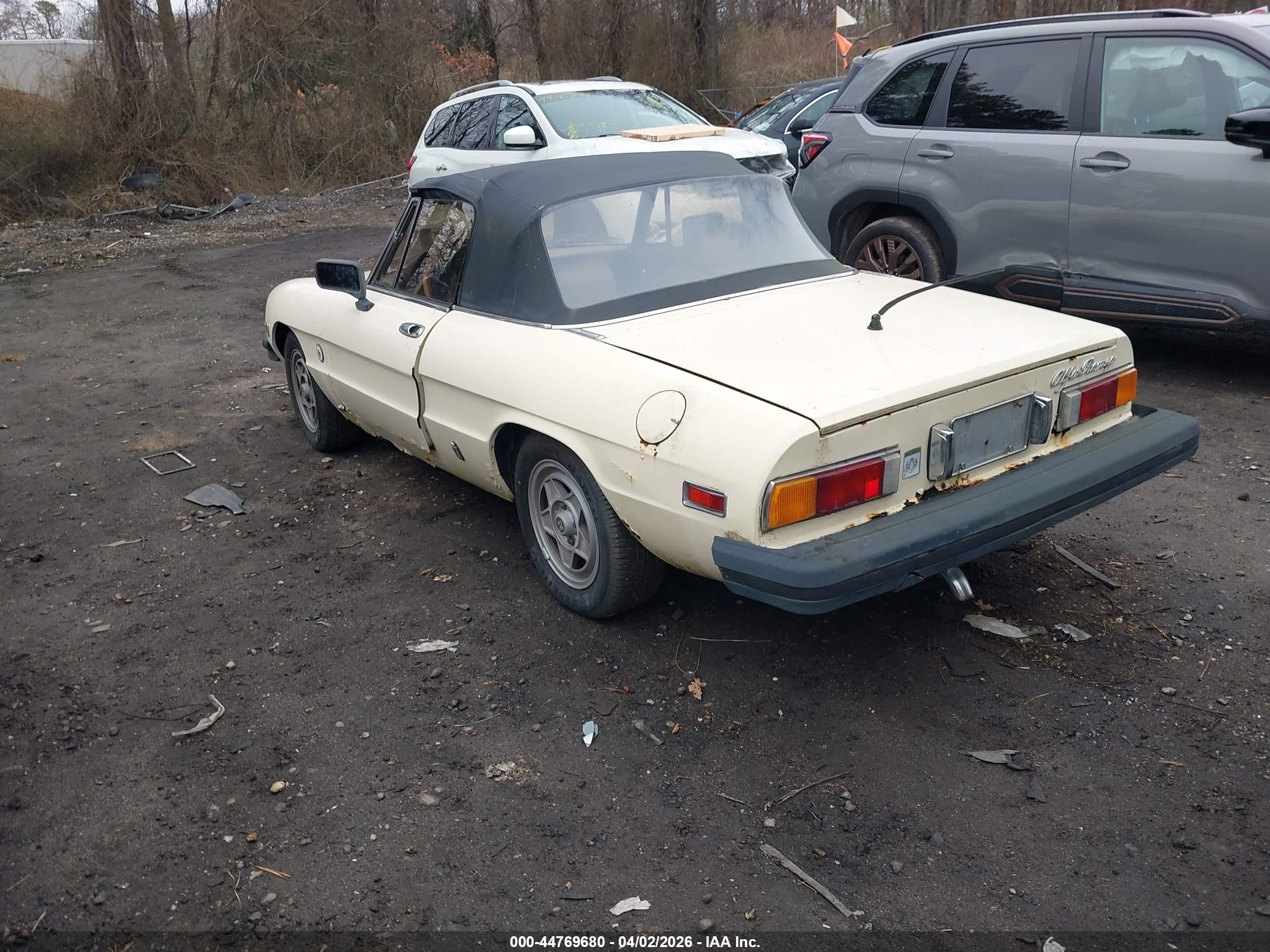 ALFA ROMEO image 3