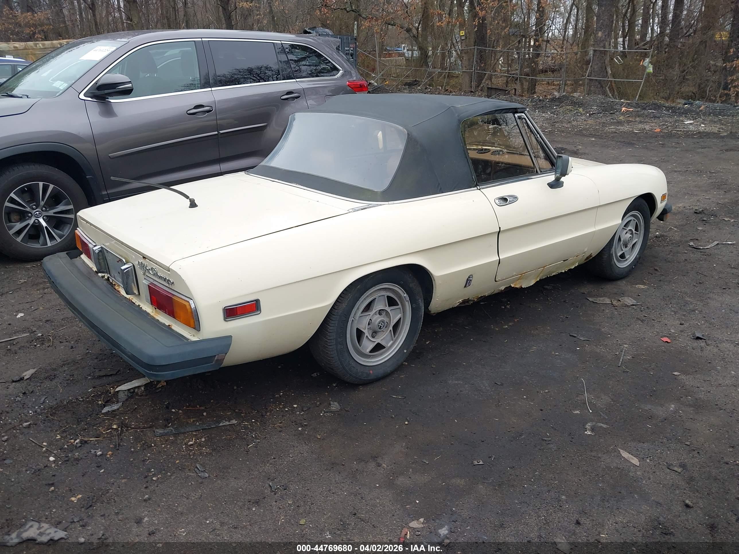 ALFA ROMEO image 4