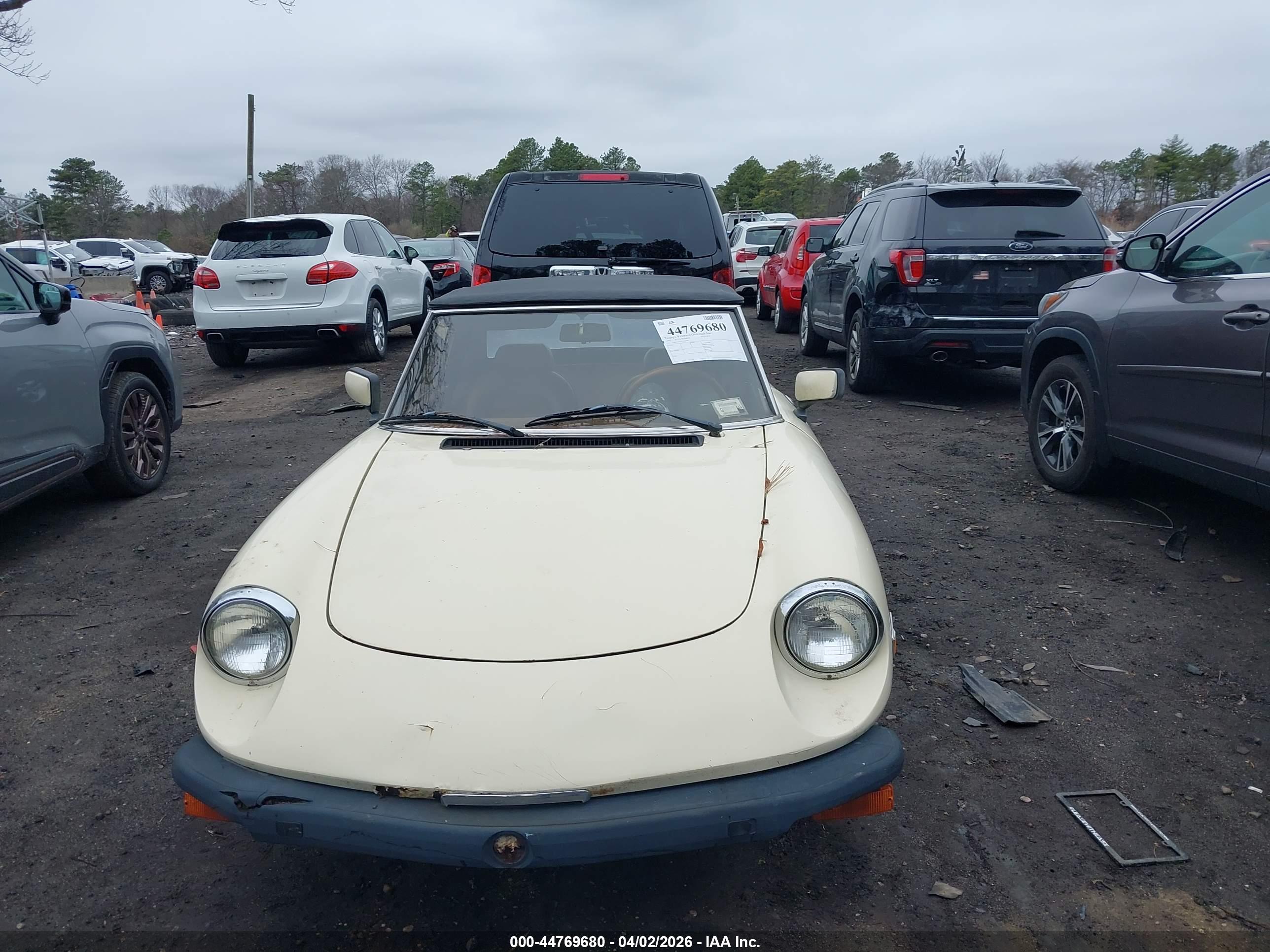 ALFA ROMEO image 6