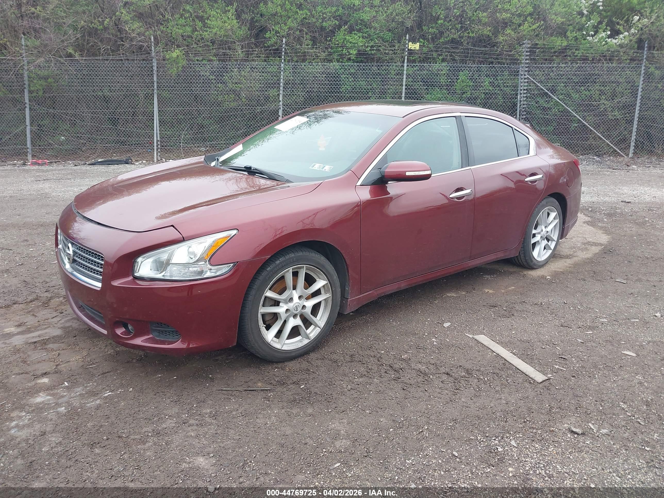 NISSAN MAXIMA image 2