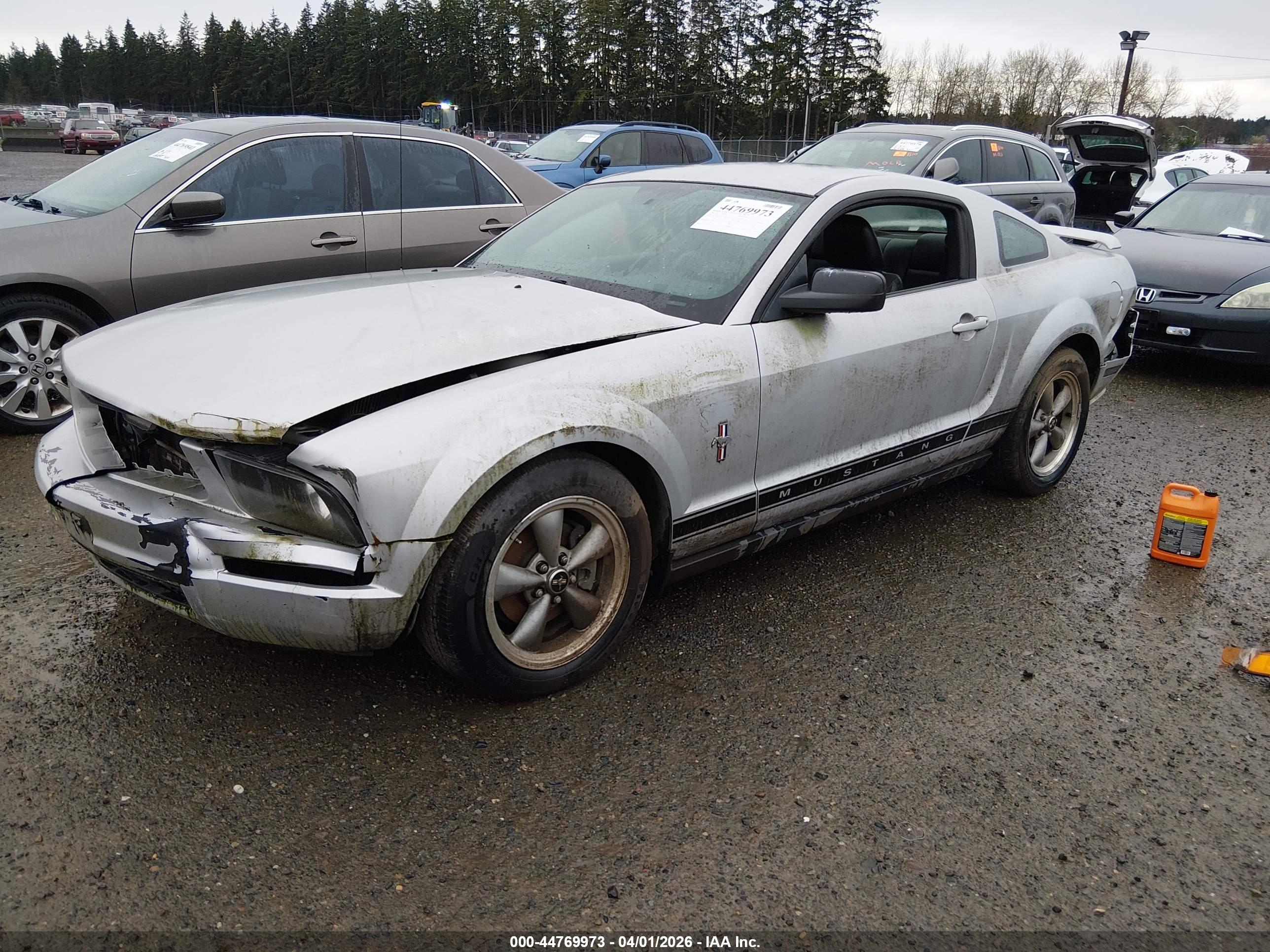 FORD MUSTANG image 2