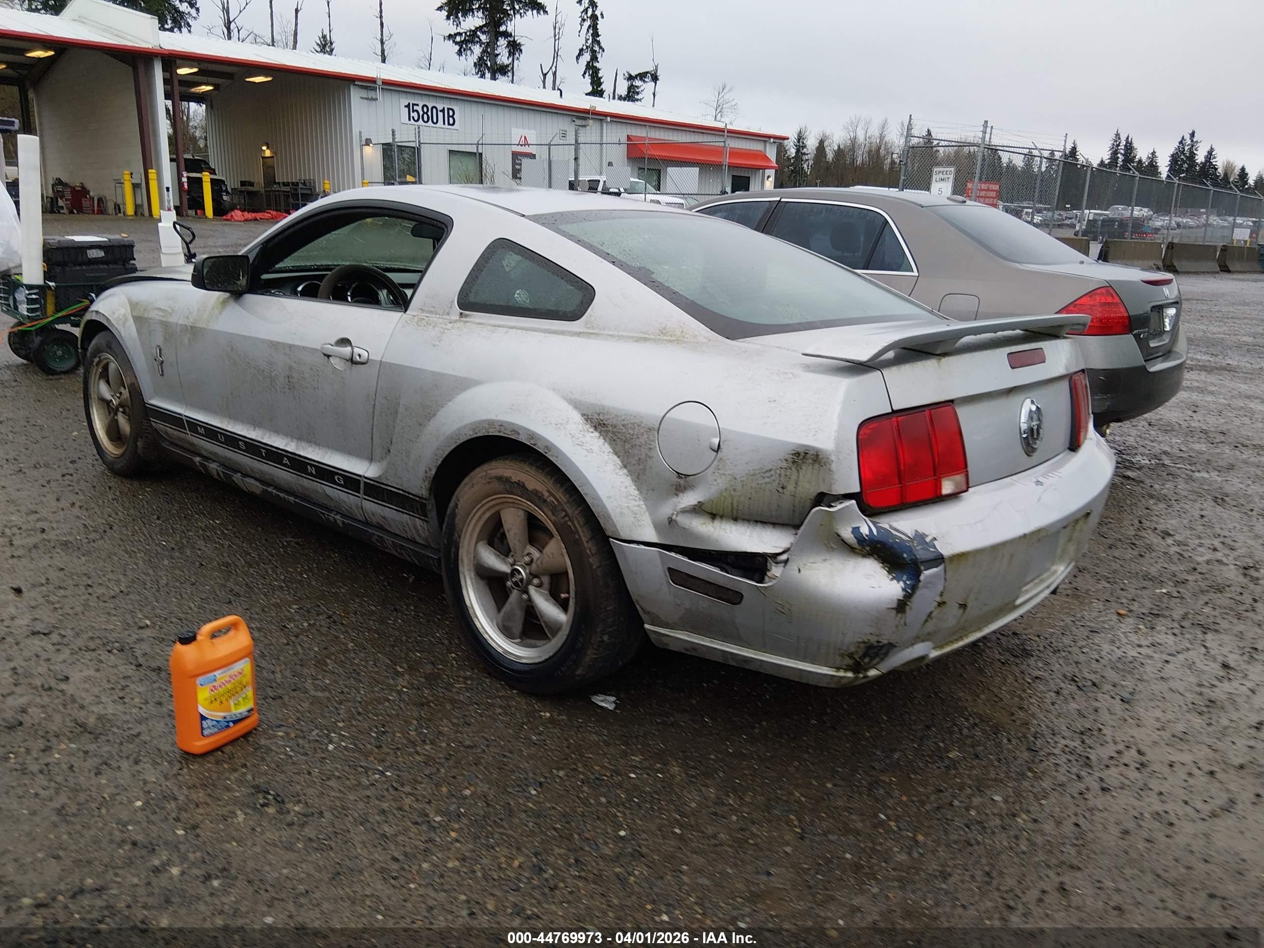 FORD MUSTANG image 3