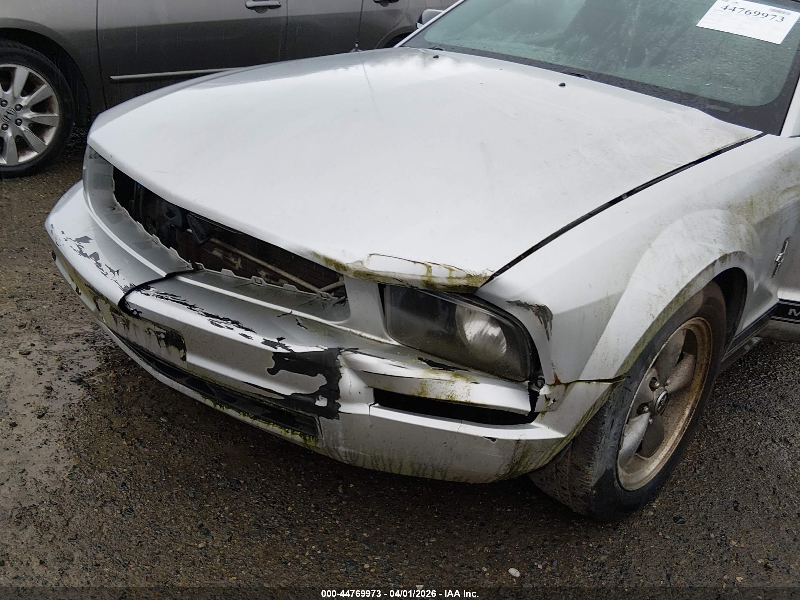 FORD MUSTANG image 6