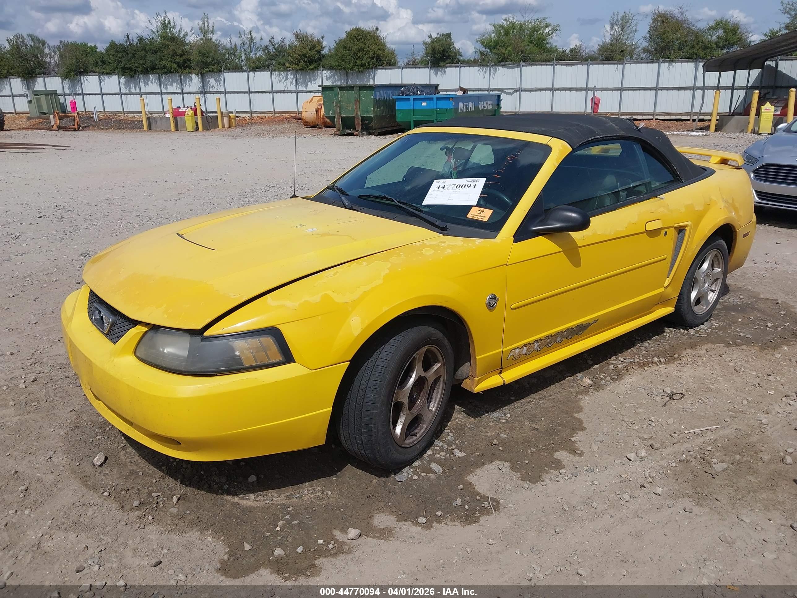 FORD MUSTANG image 2