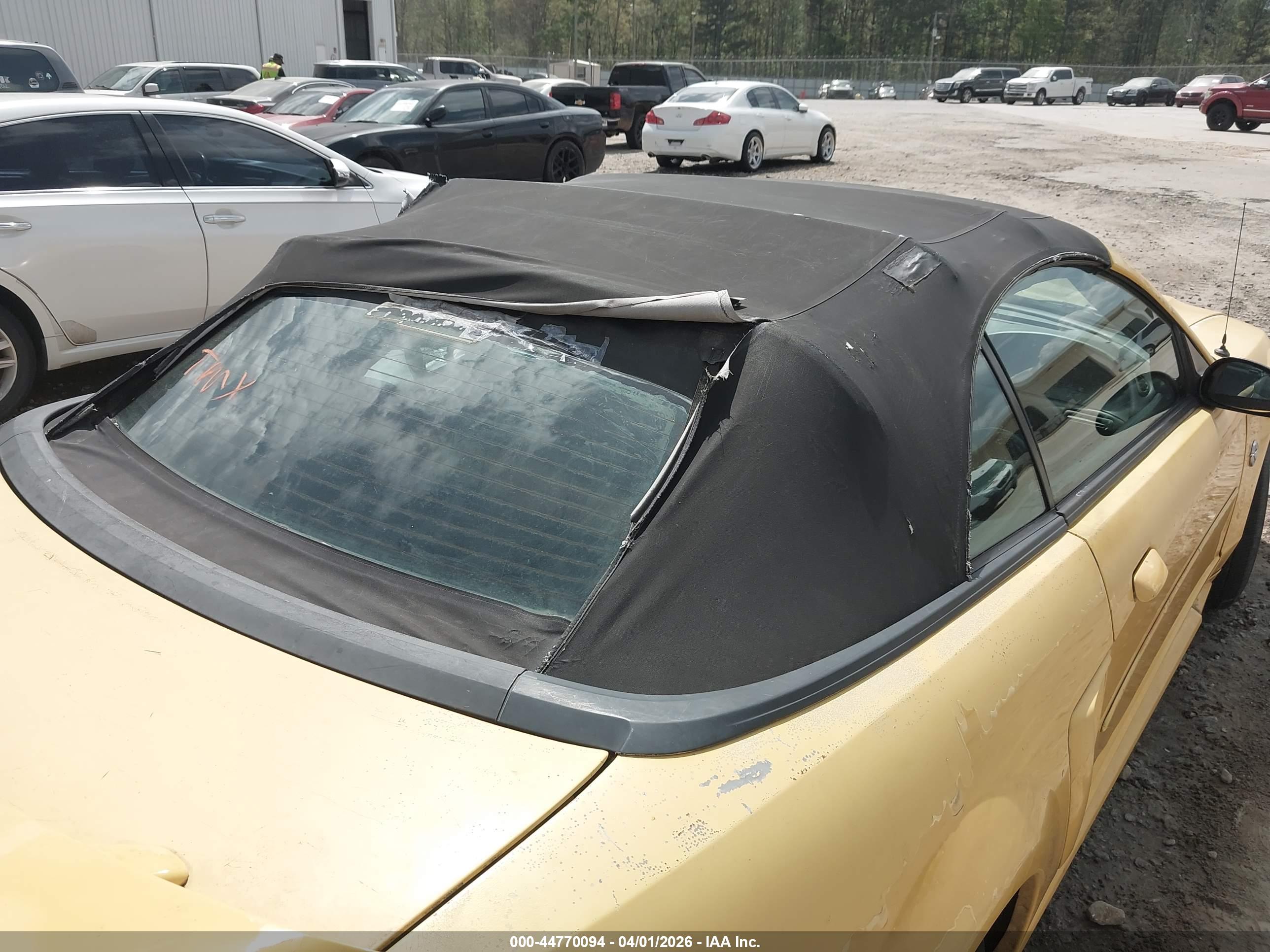 FORD MUSTANG image 6