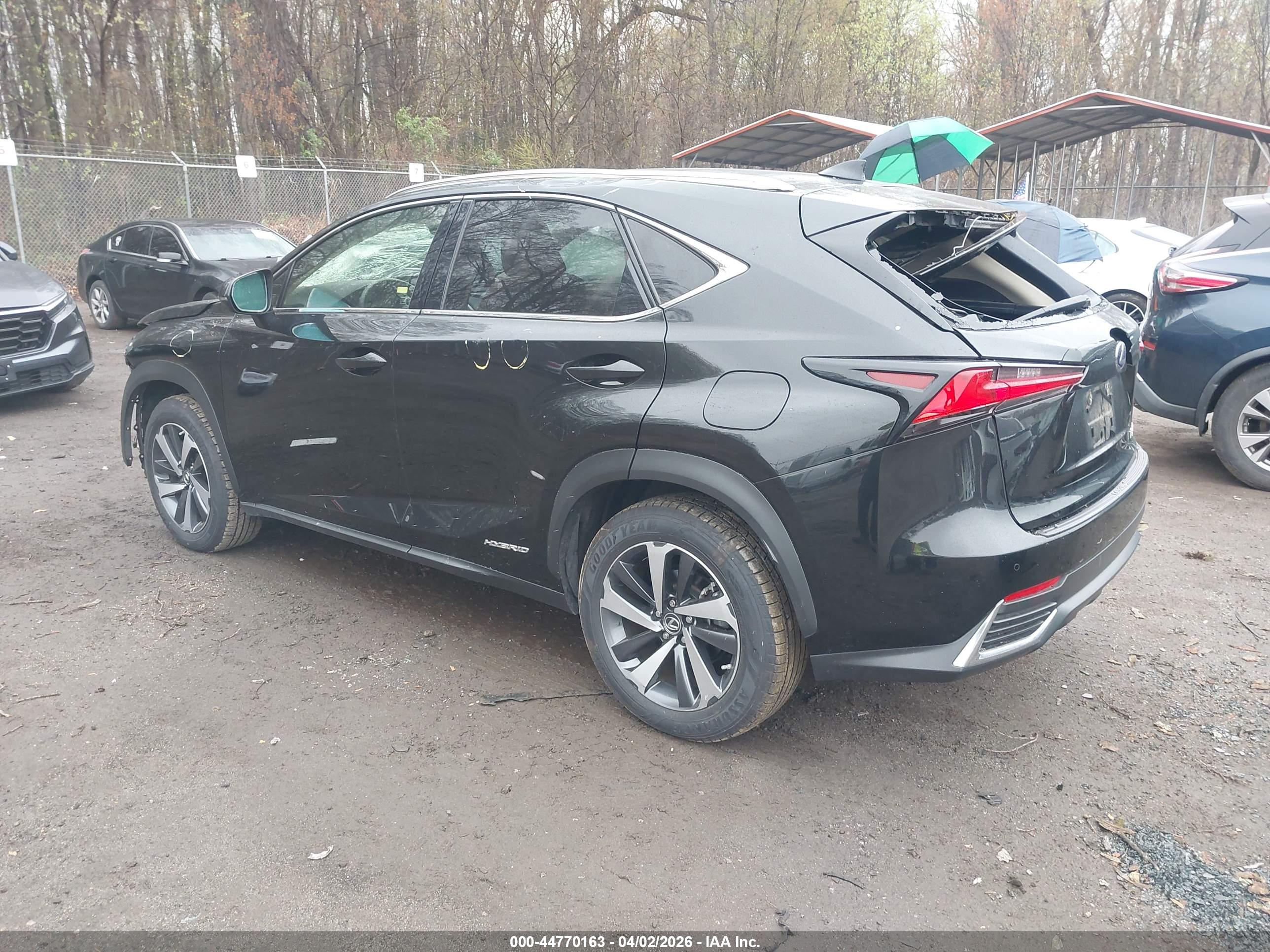 LEXUS NX image 3