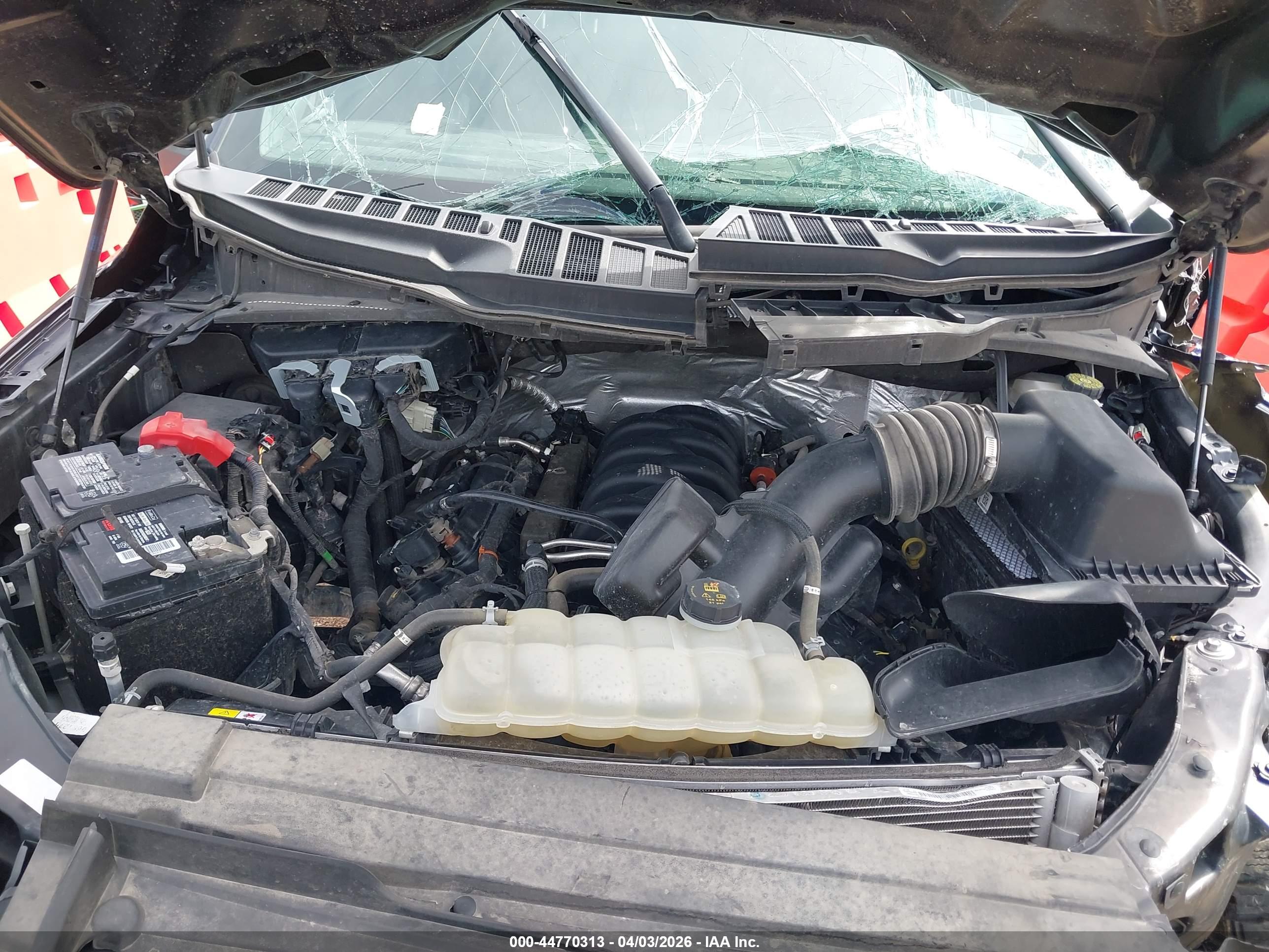 FORD F-150 image 10