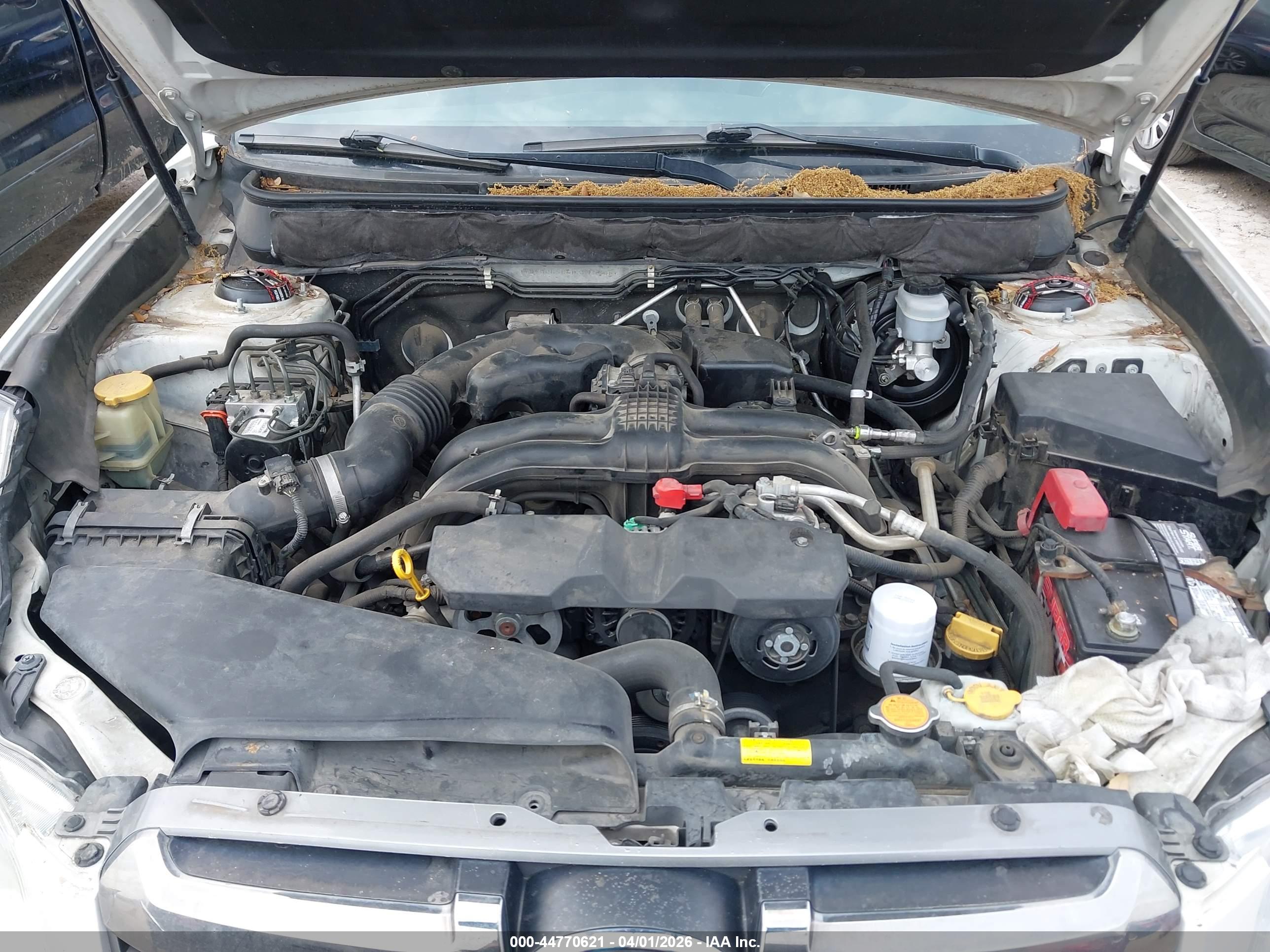 SUBARU OUTBACK image 10