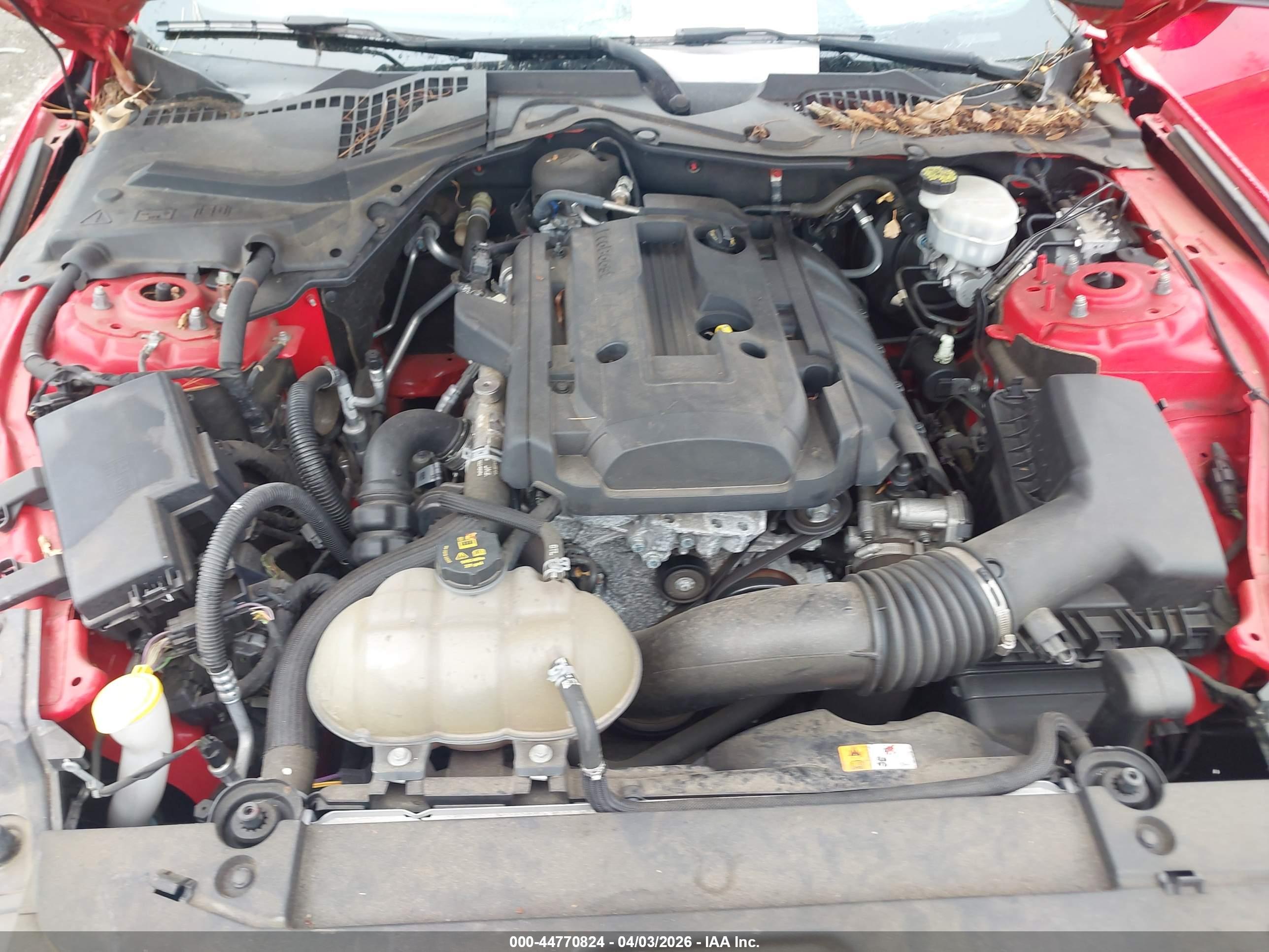 FORD MUSTANG image 10