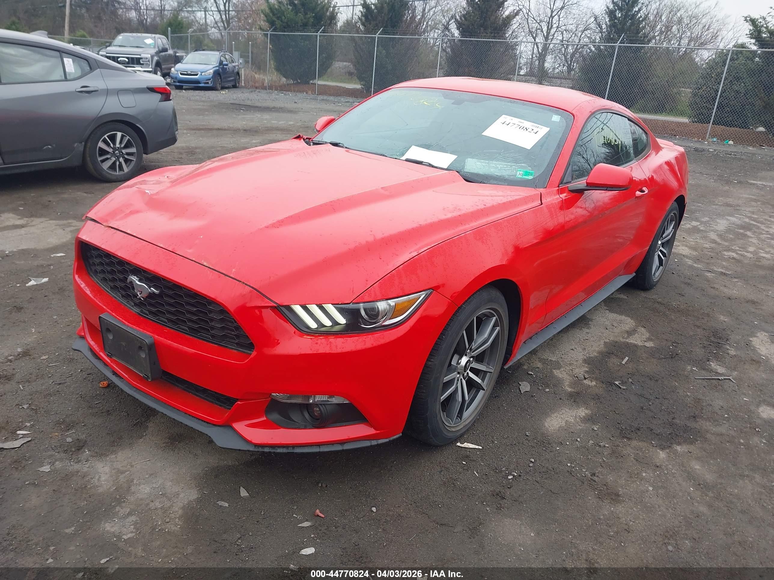 FORD MUSTANG image 2