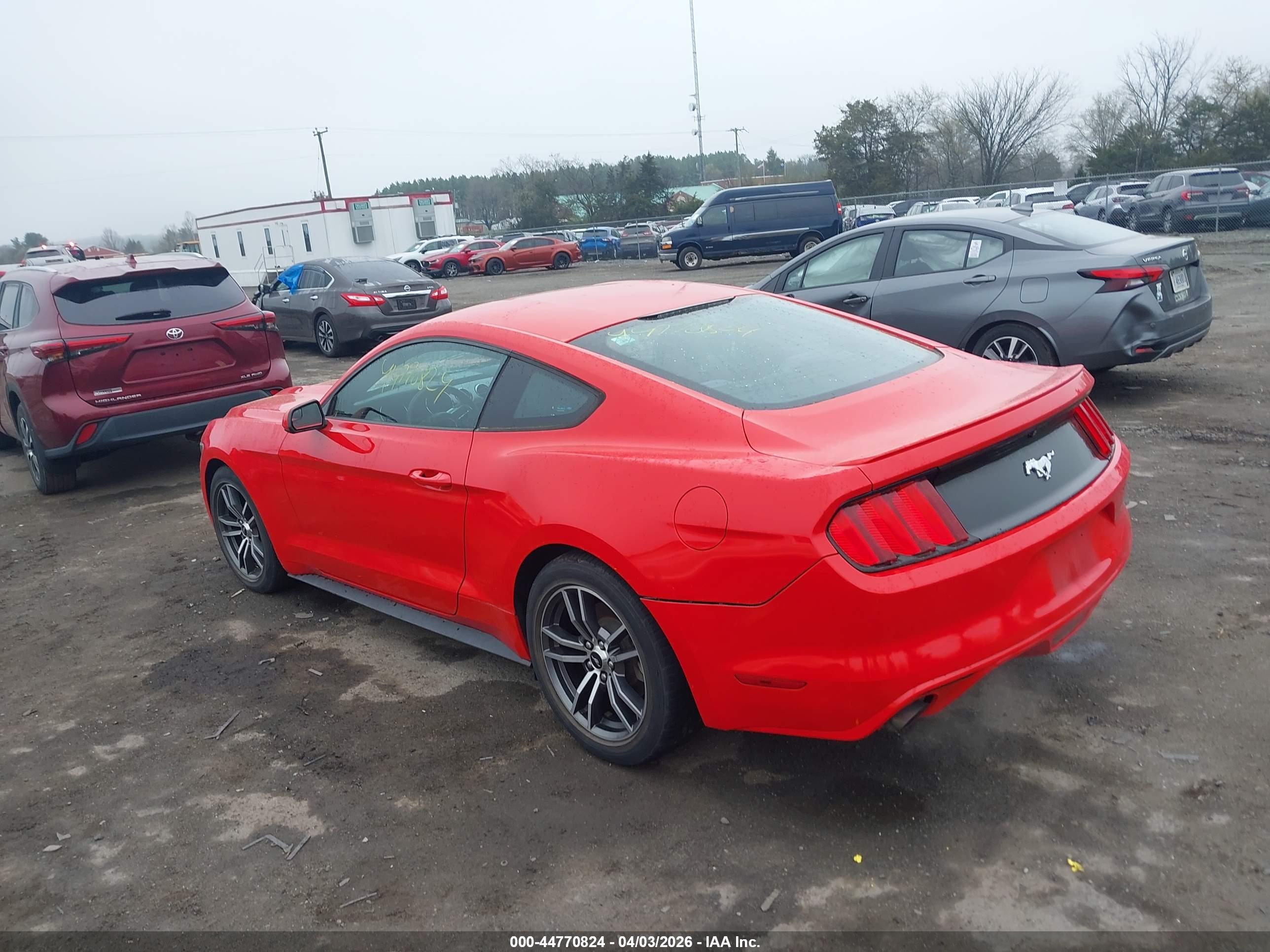 FORD MUSTANG image 3