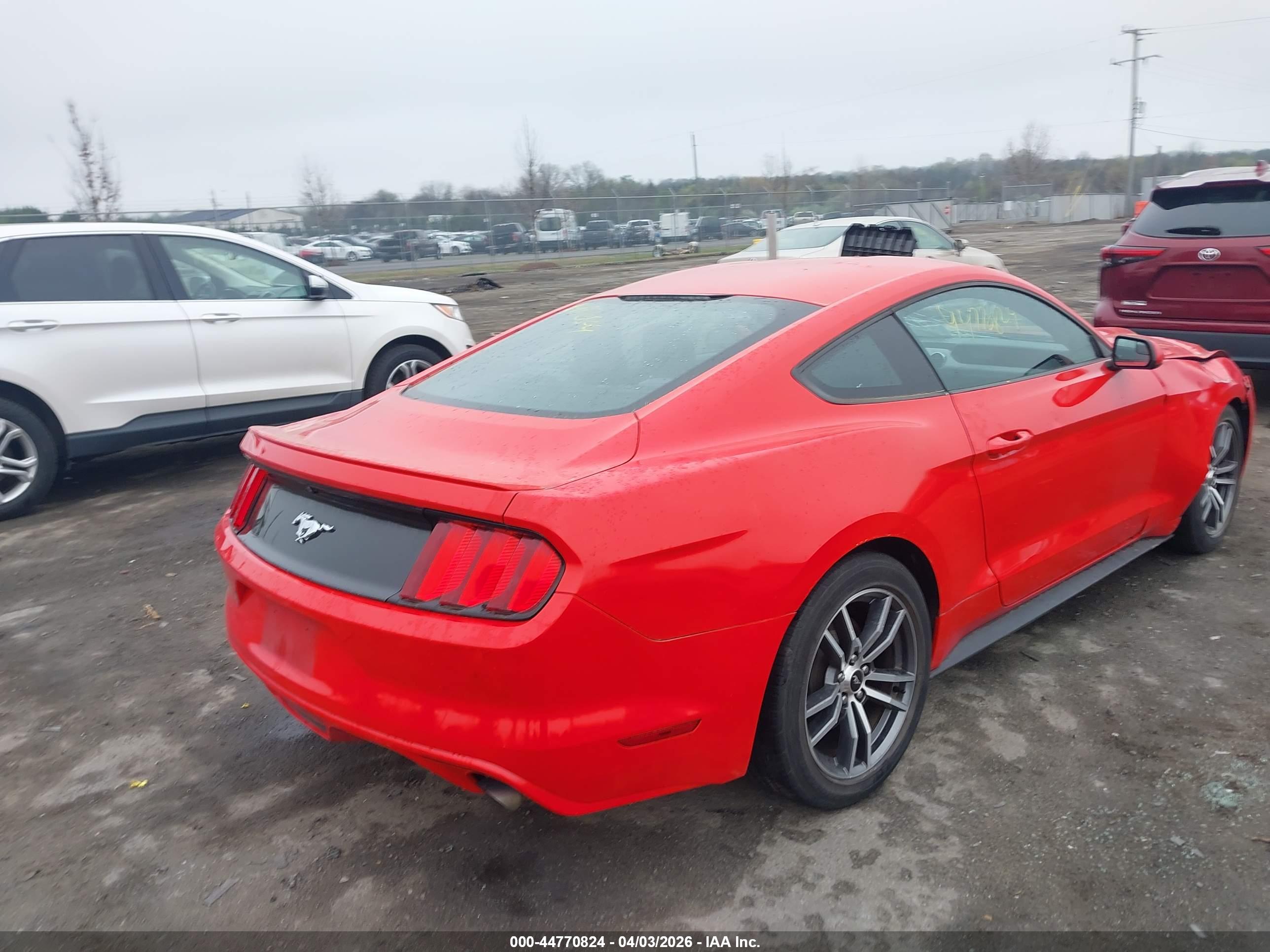 FORD MUSTANG image 4