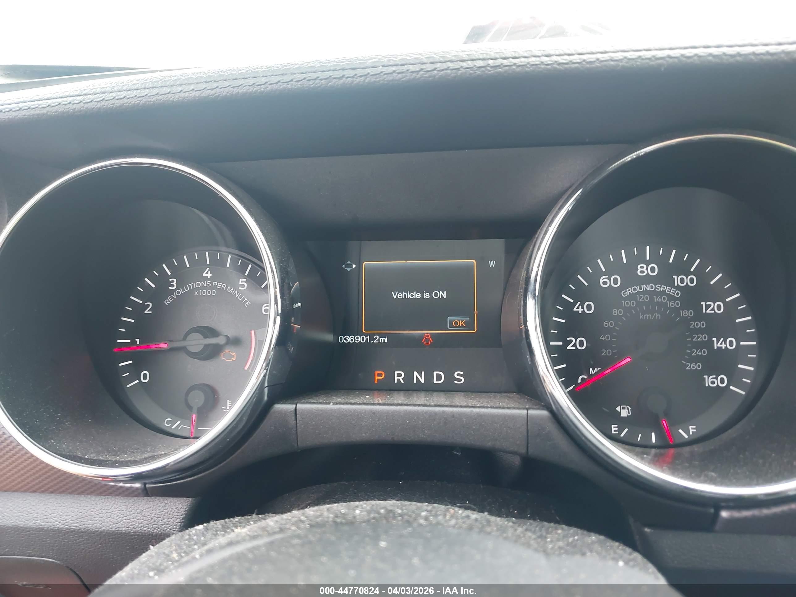 FORD MUSTANG image 7