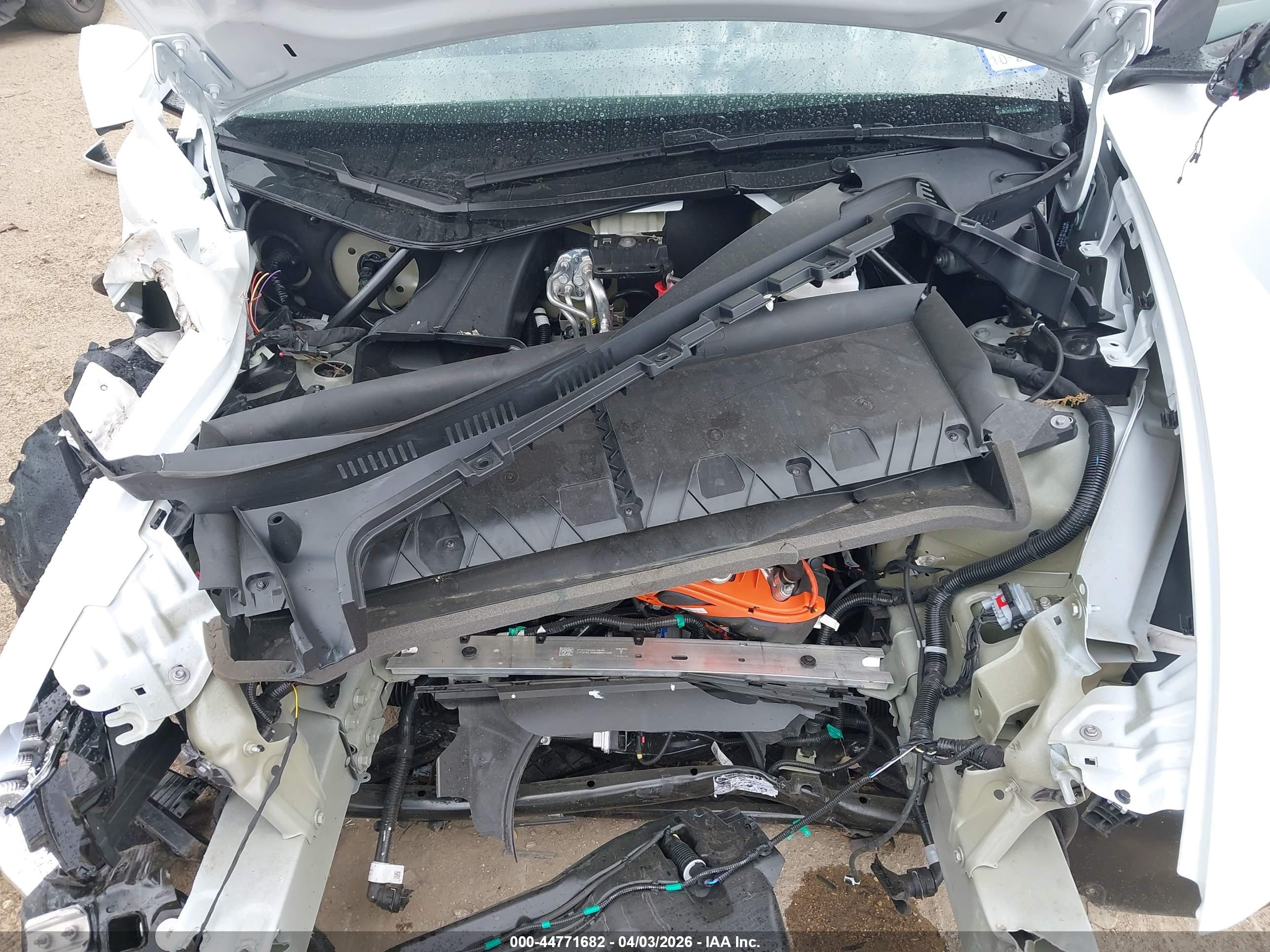 TESLA MODEL image 10