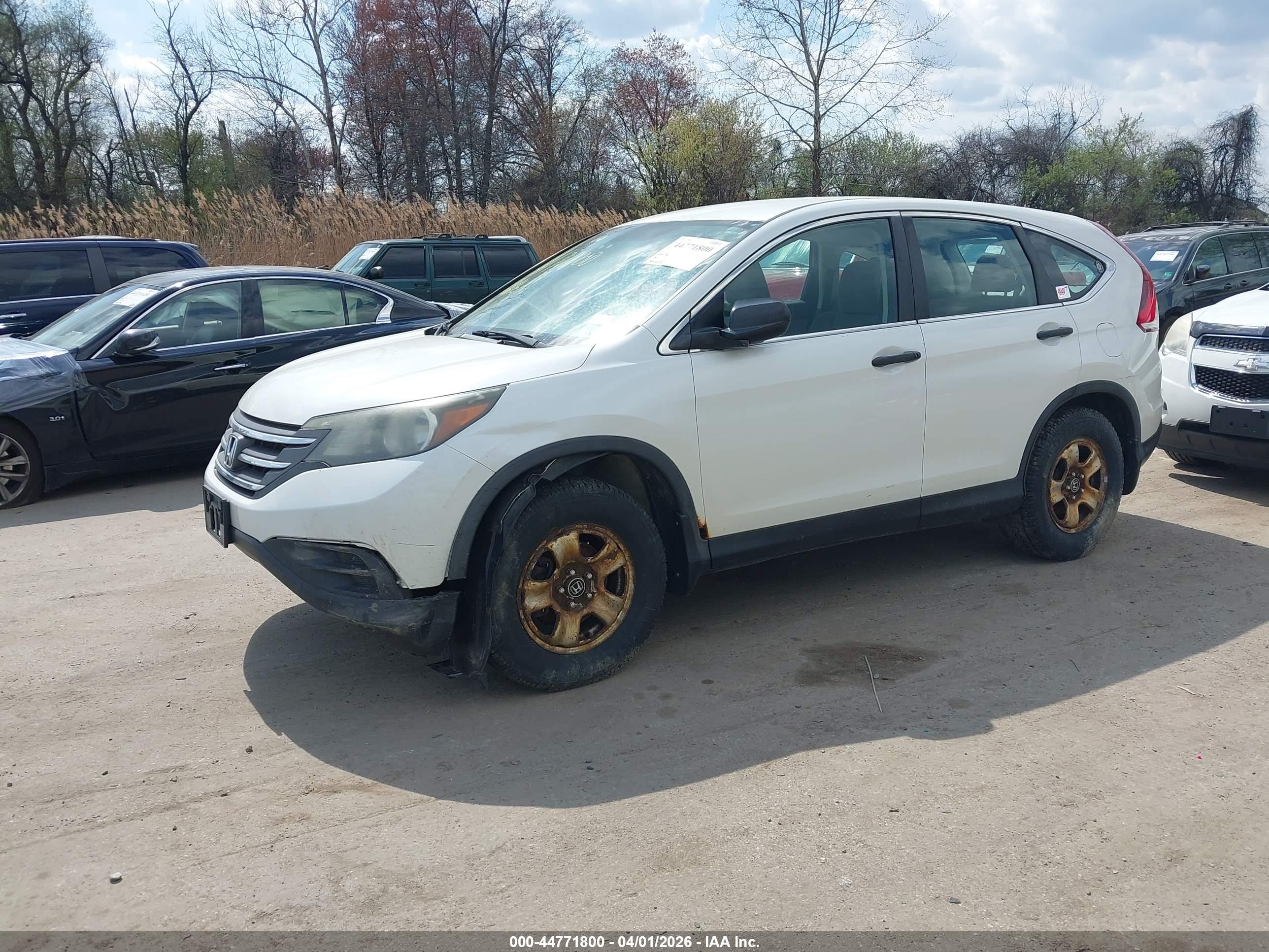 HONDA CR-V image 2