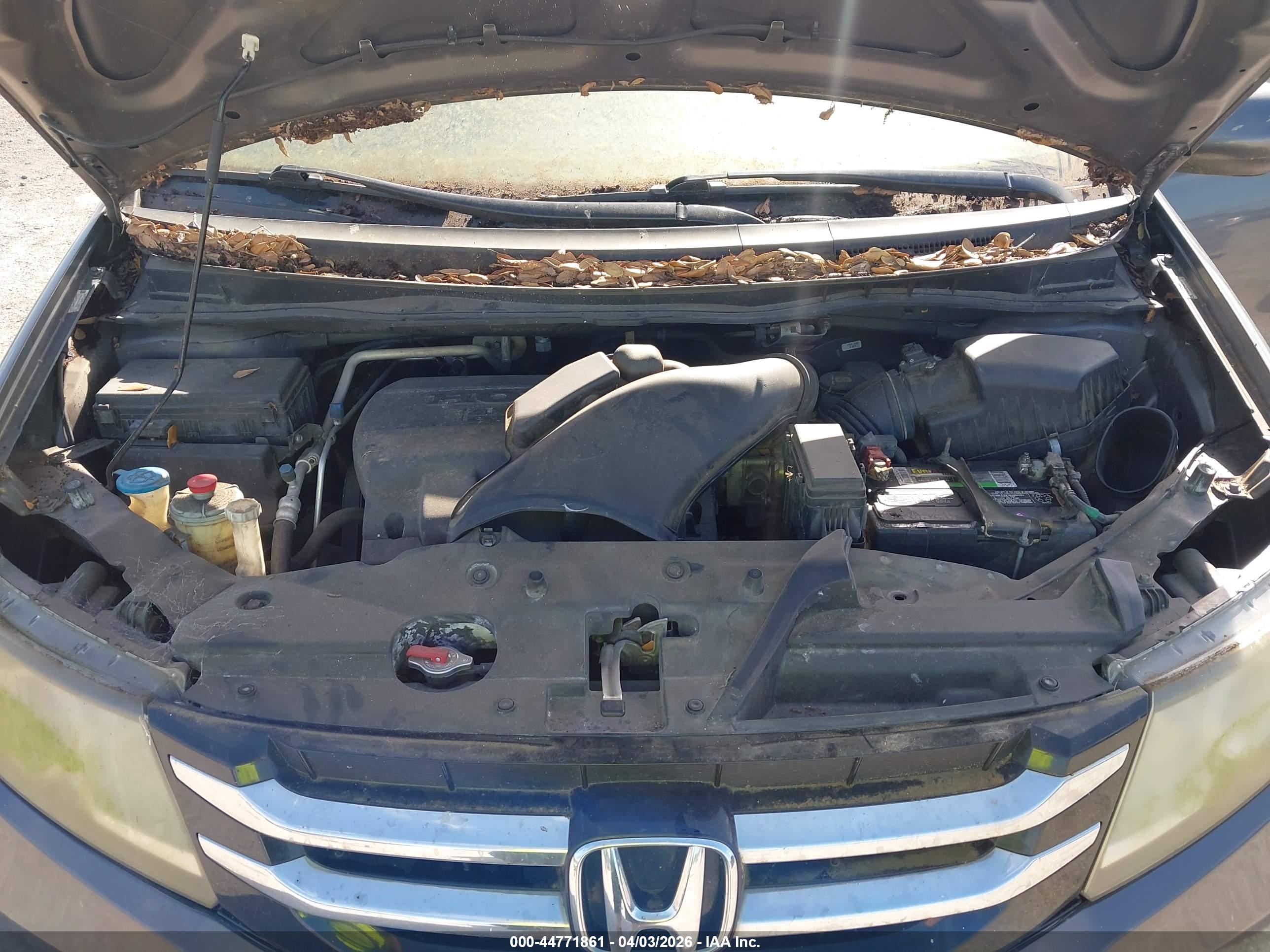 HONDA ODYSSEY image 10