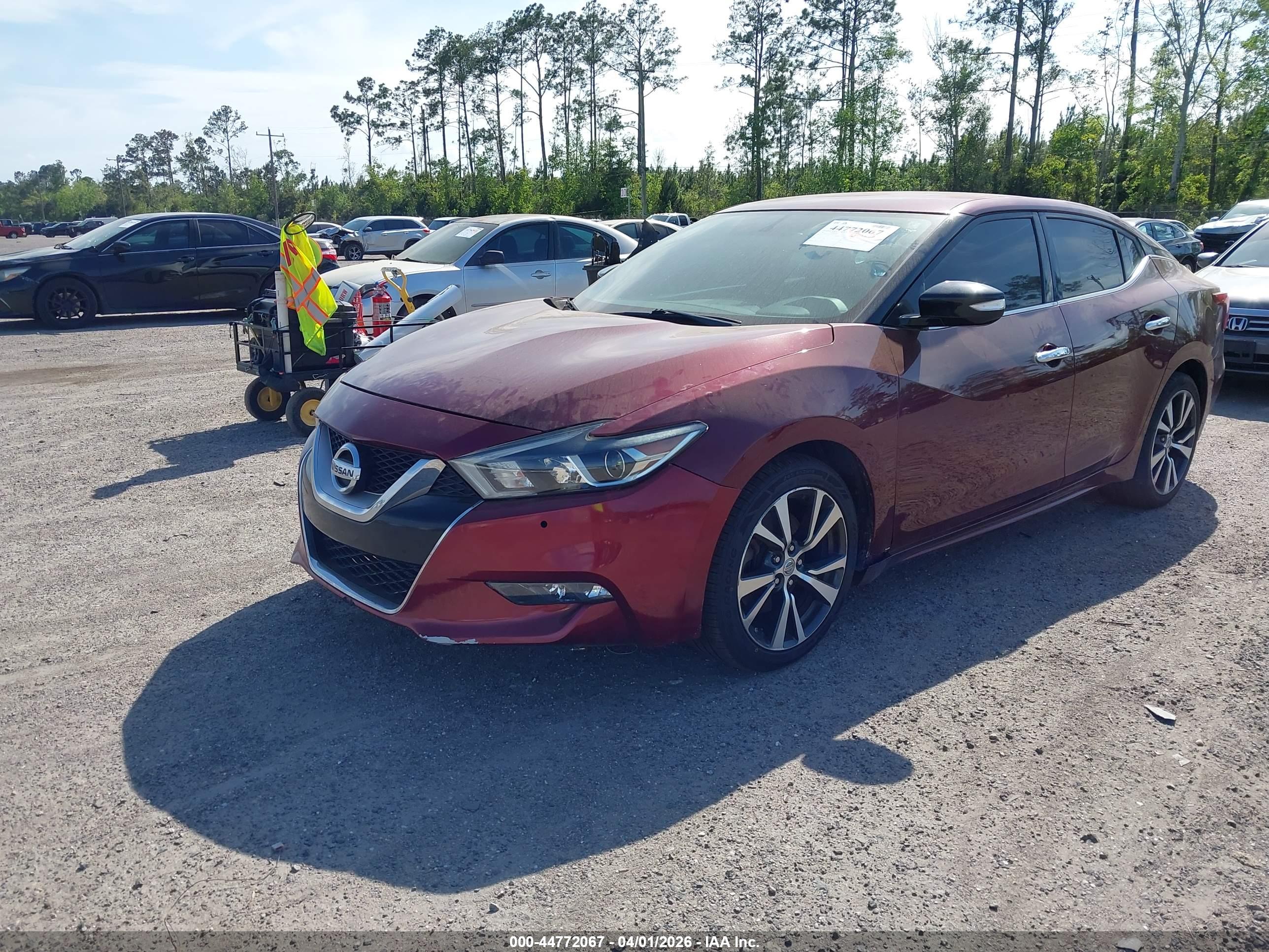 NISSAN MAXIMA image 2
