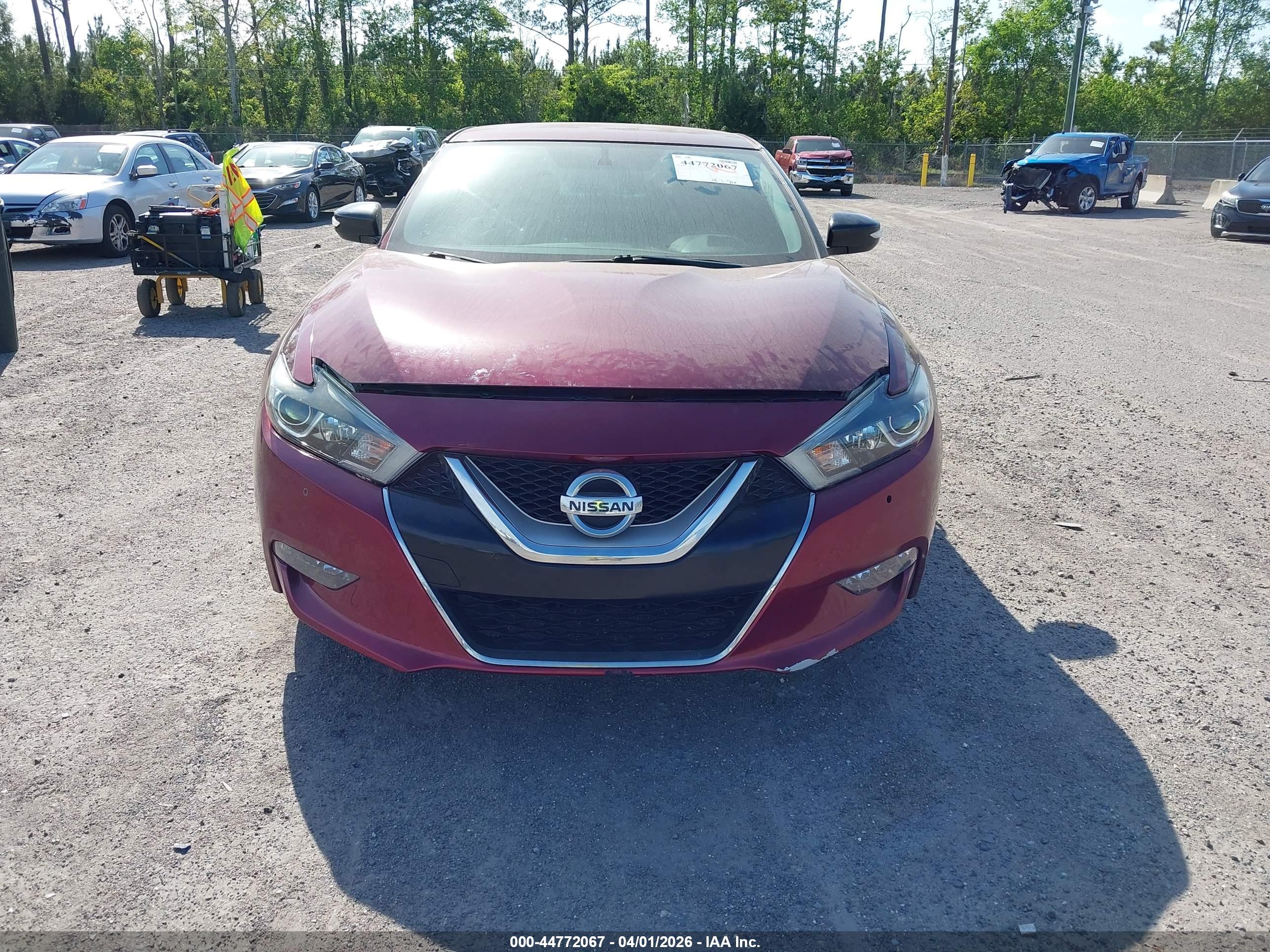 NISSAN MAXIMA image 6