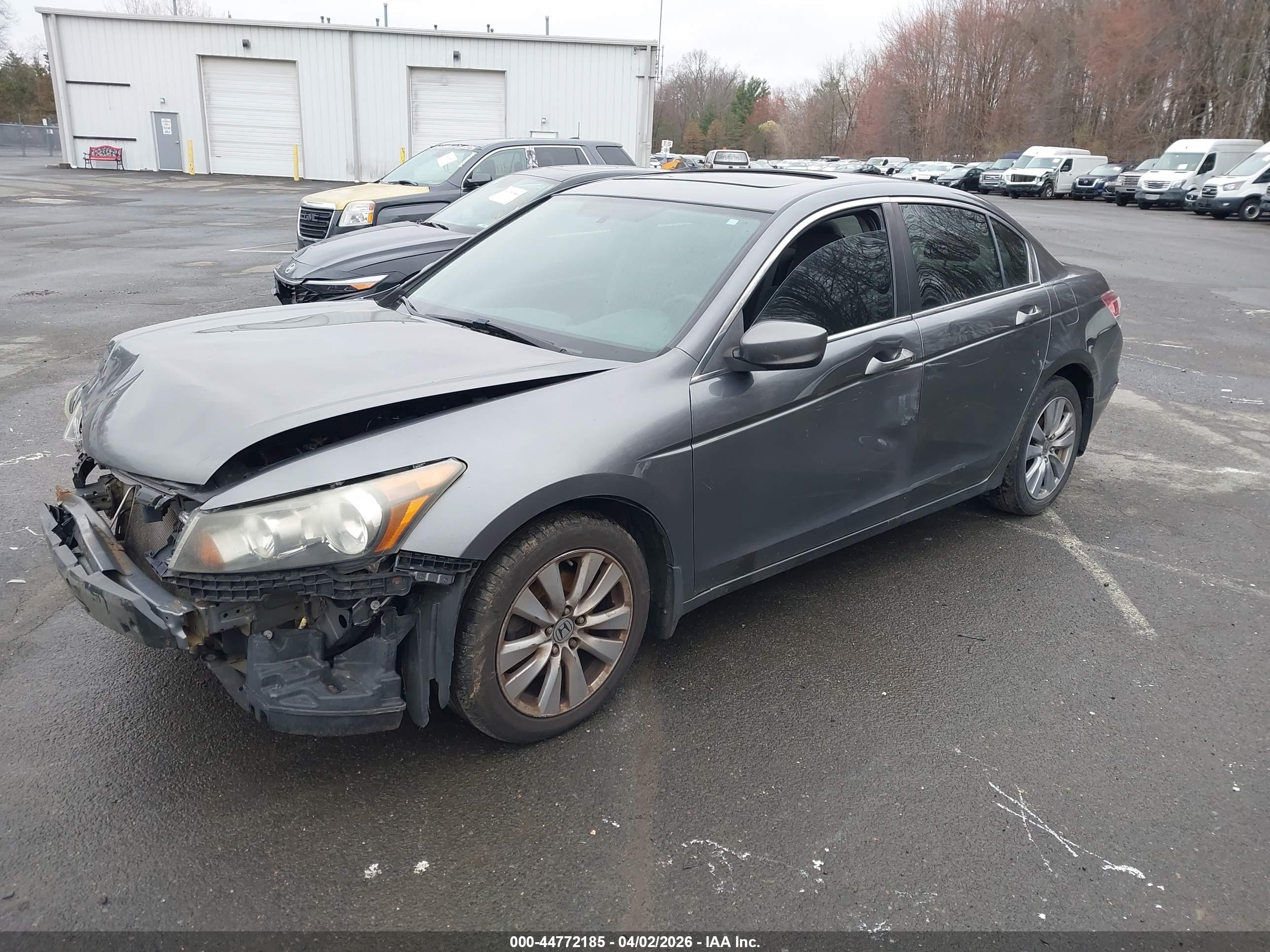 HONDA ACCORD image 2