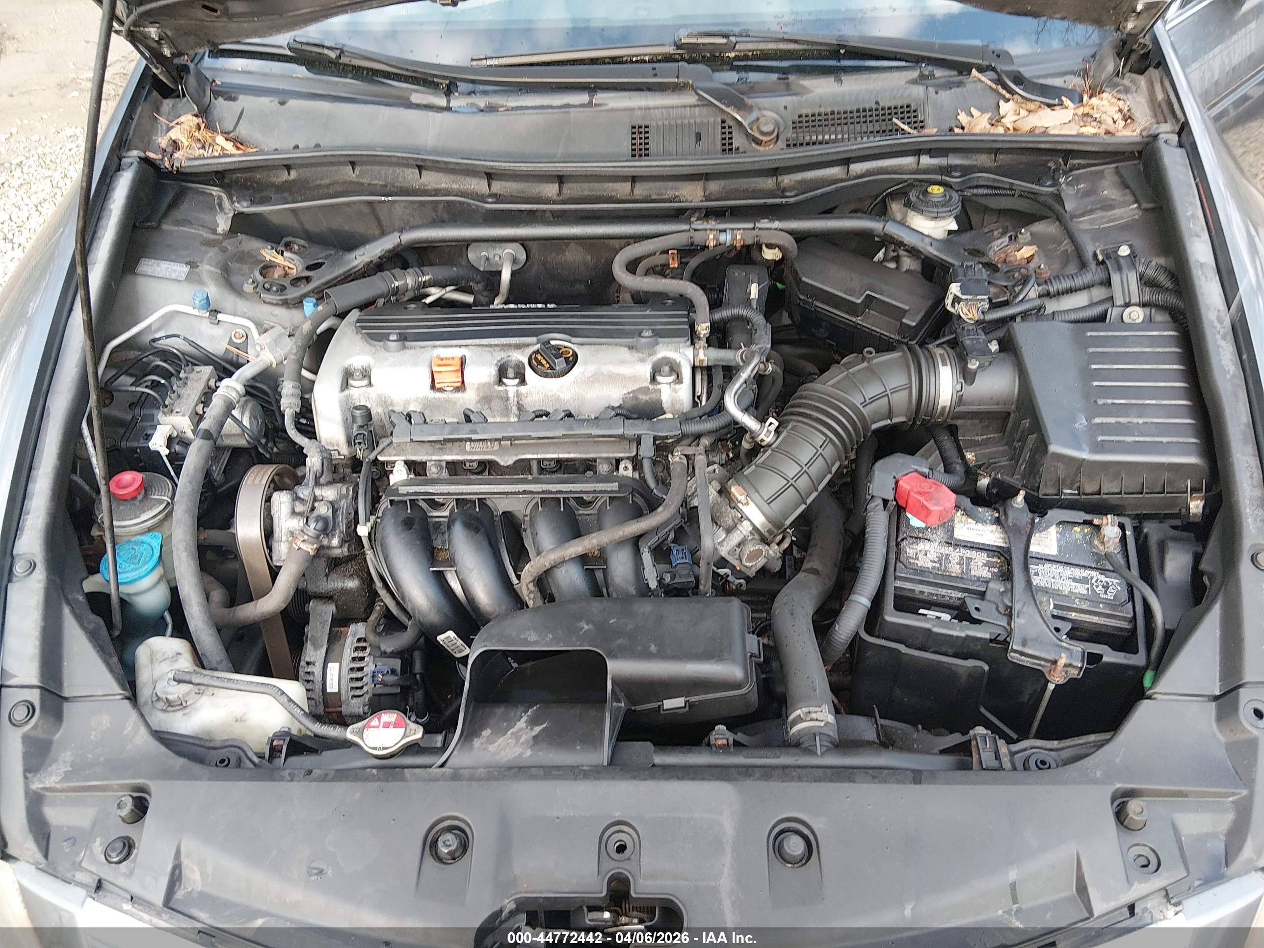 HONDA ACCORD image 10