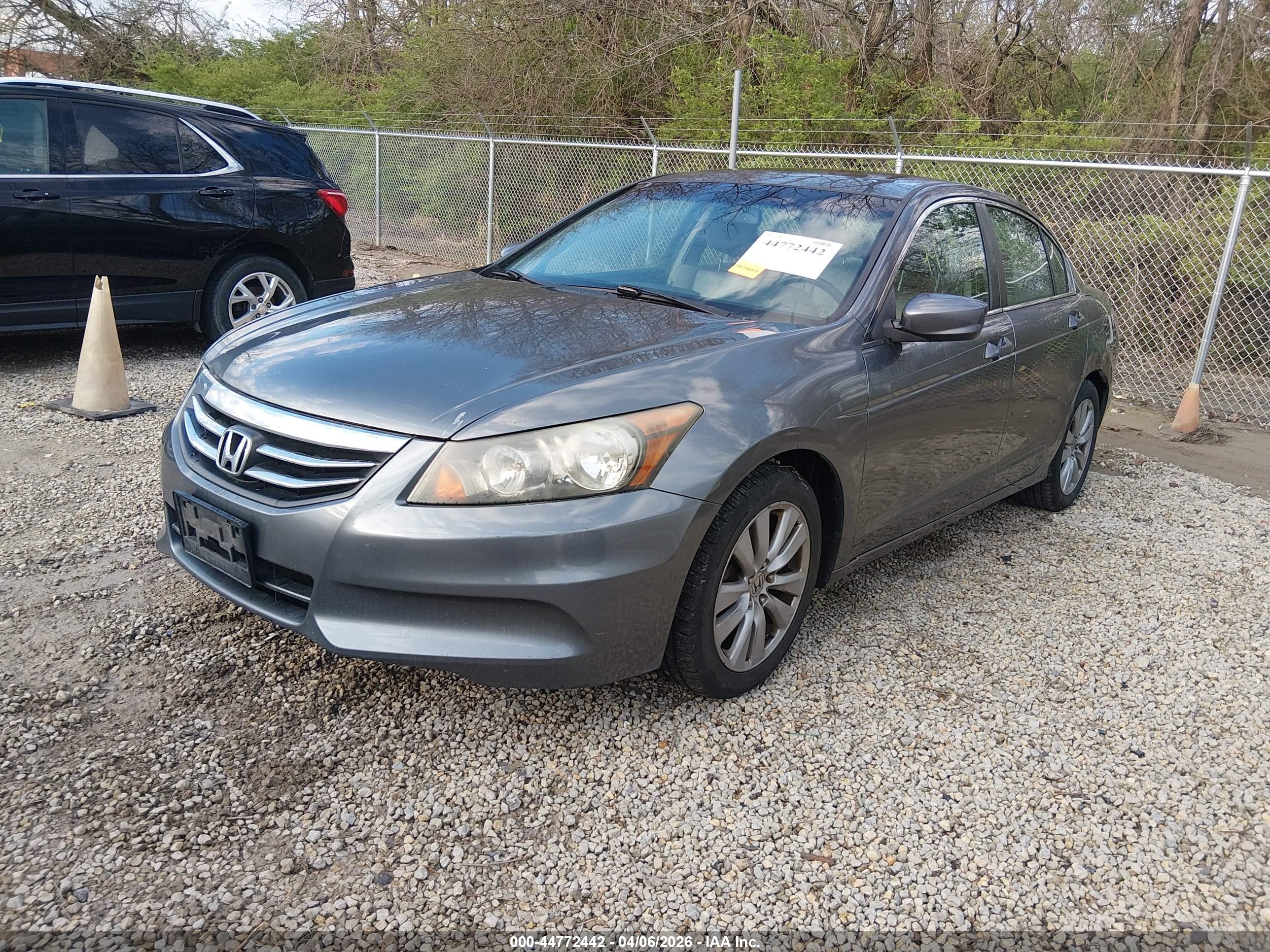 HONDA ACCORD image 2
