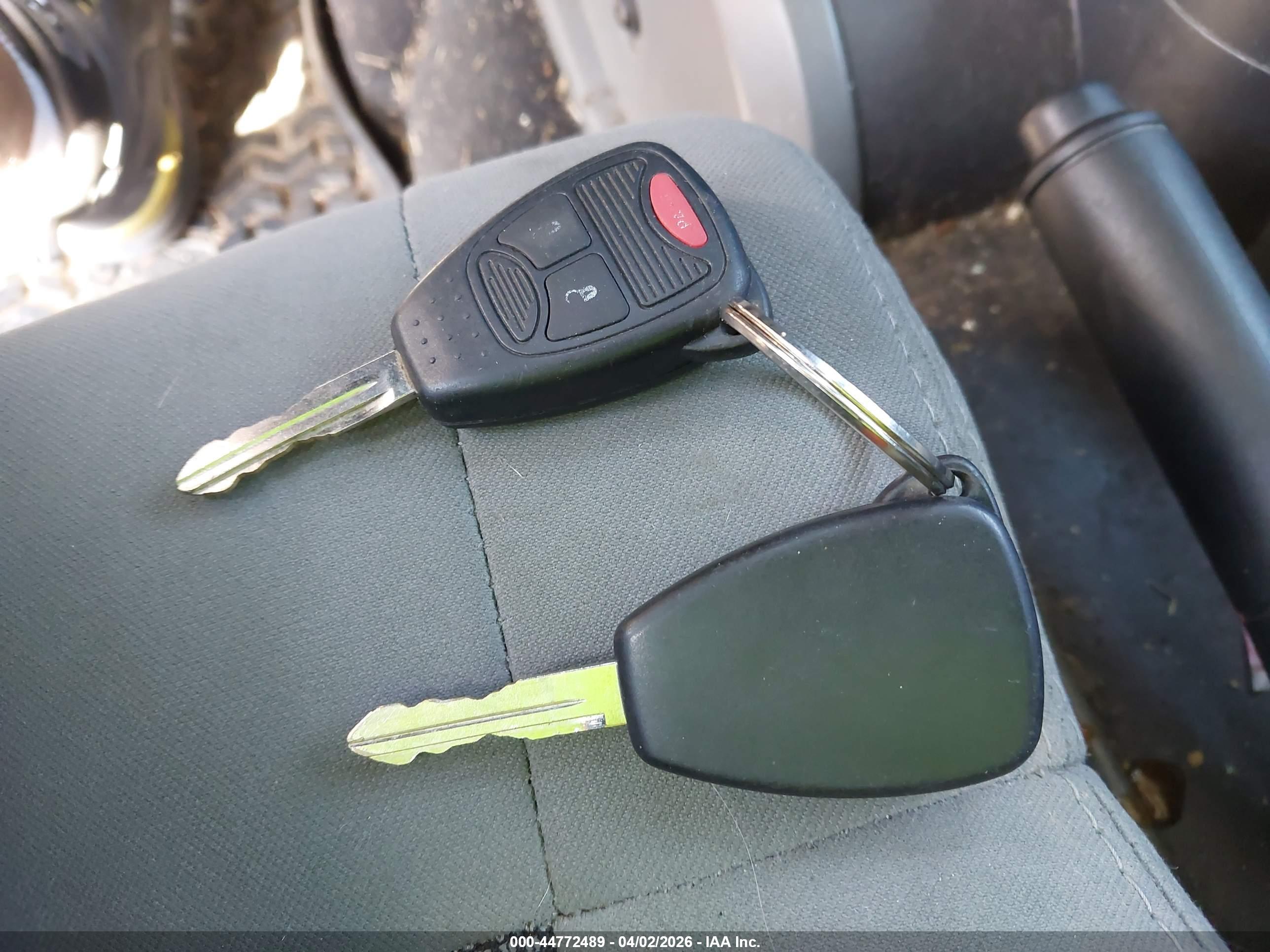 JEEP WRANGLER image 11