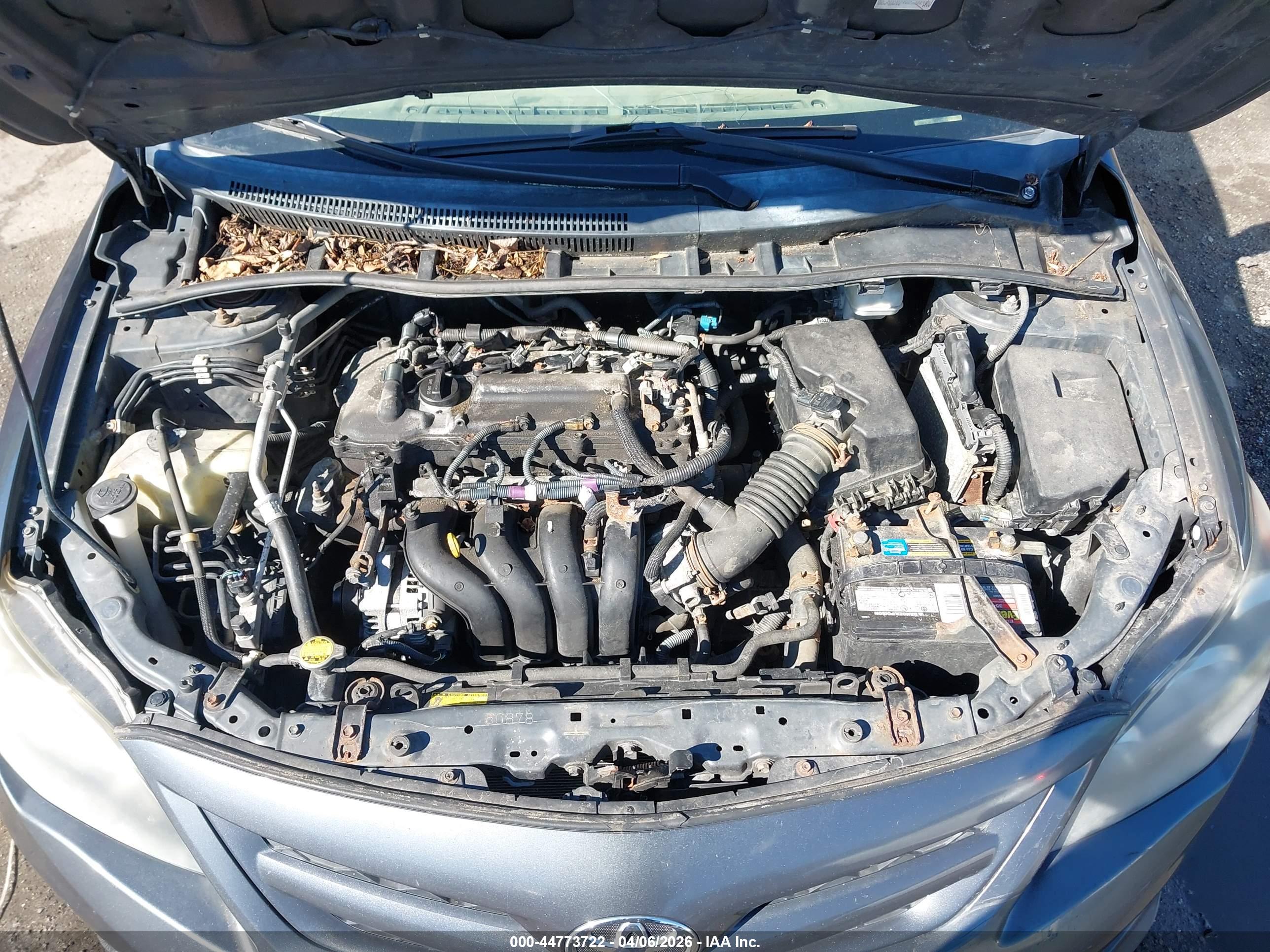 TOYOTA COROLLA image 10