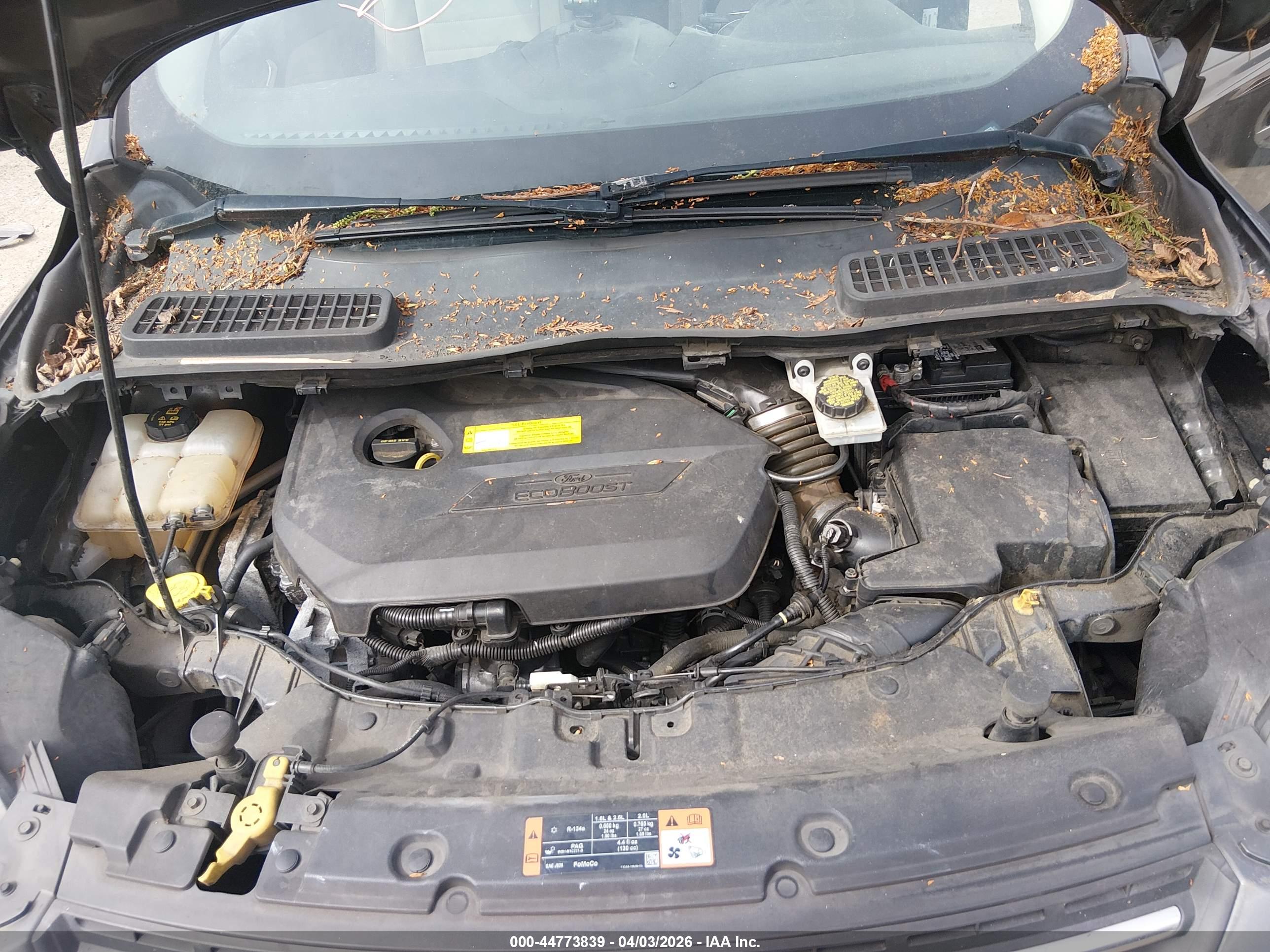 FORD ESCAPE image 10