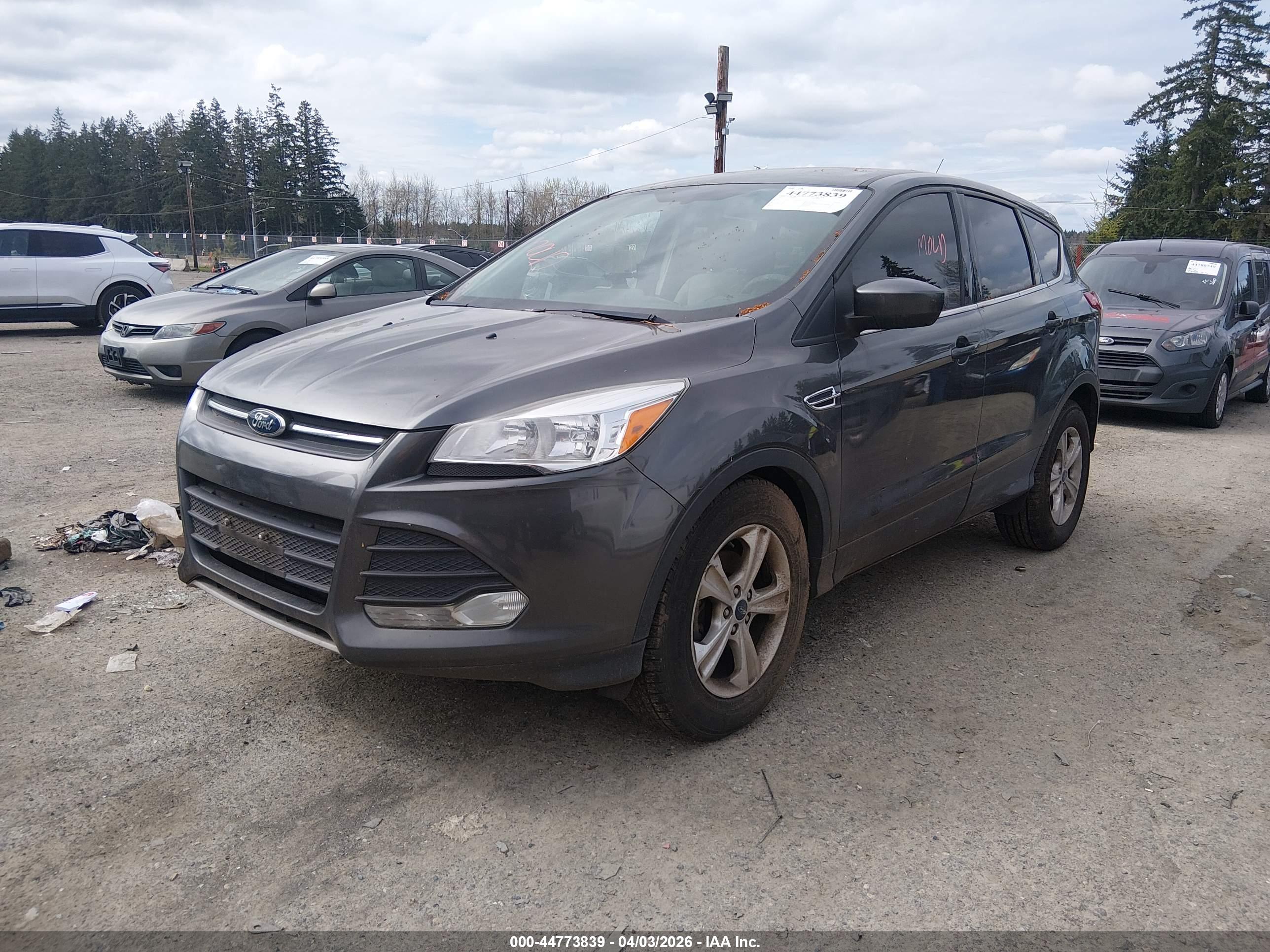 FORD ESCAPE image 2