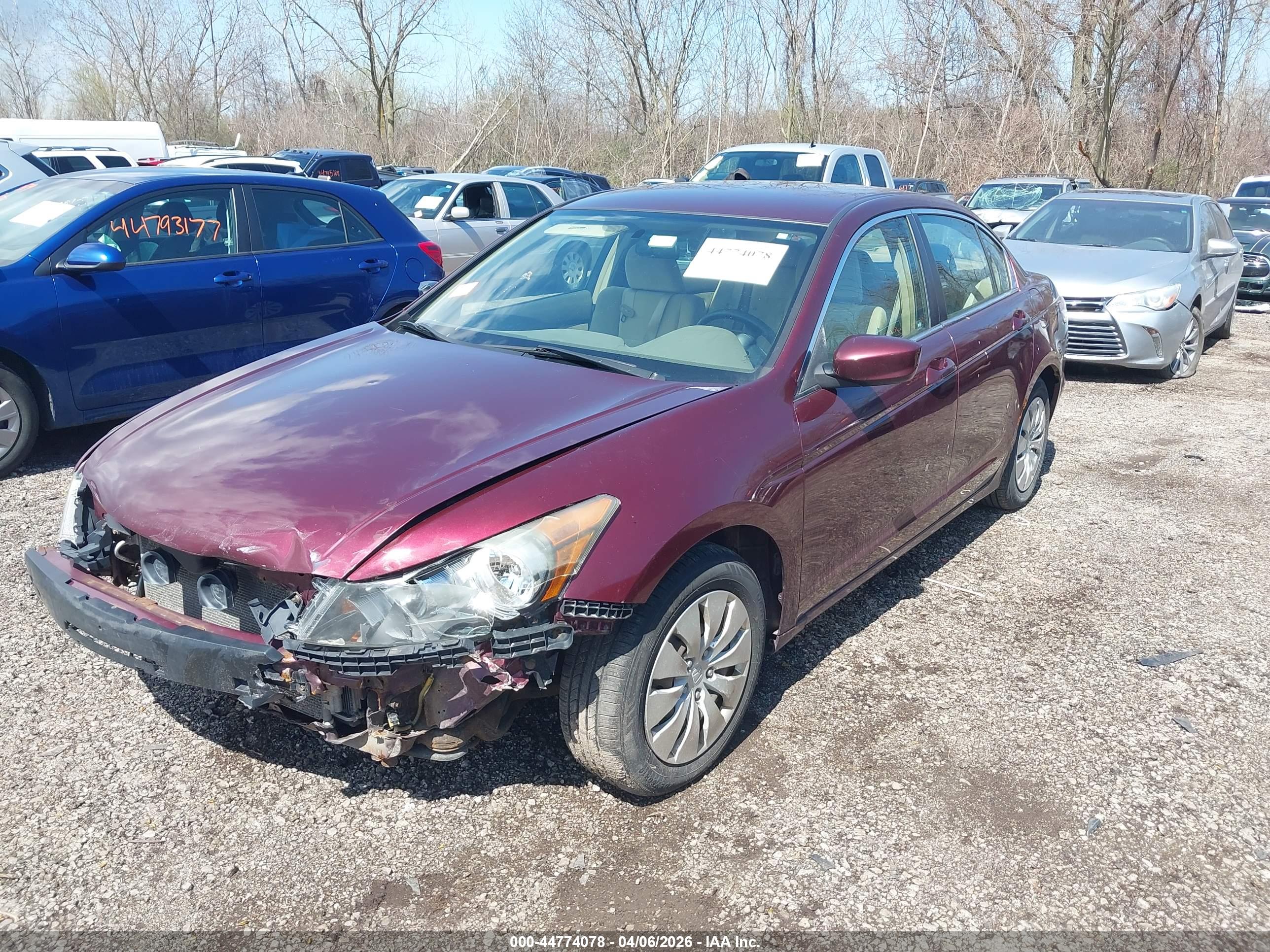 HONDA ACCORD image 2