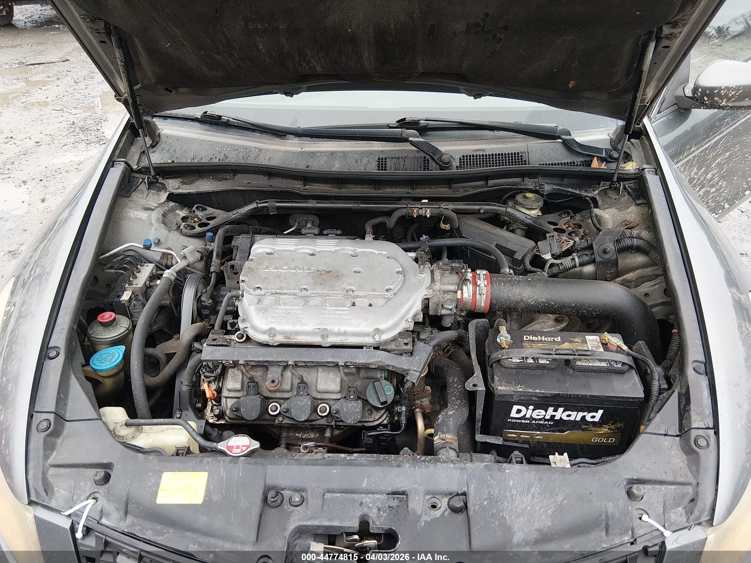 HONDA ACCORD image 10