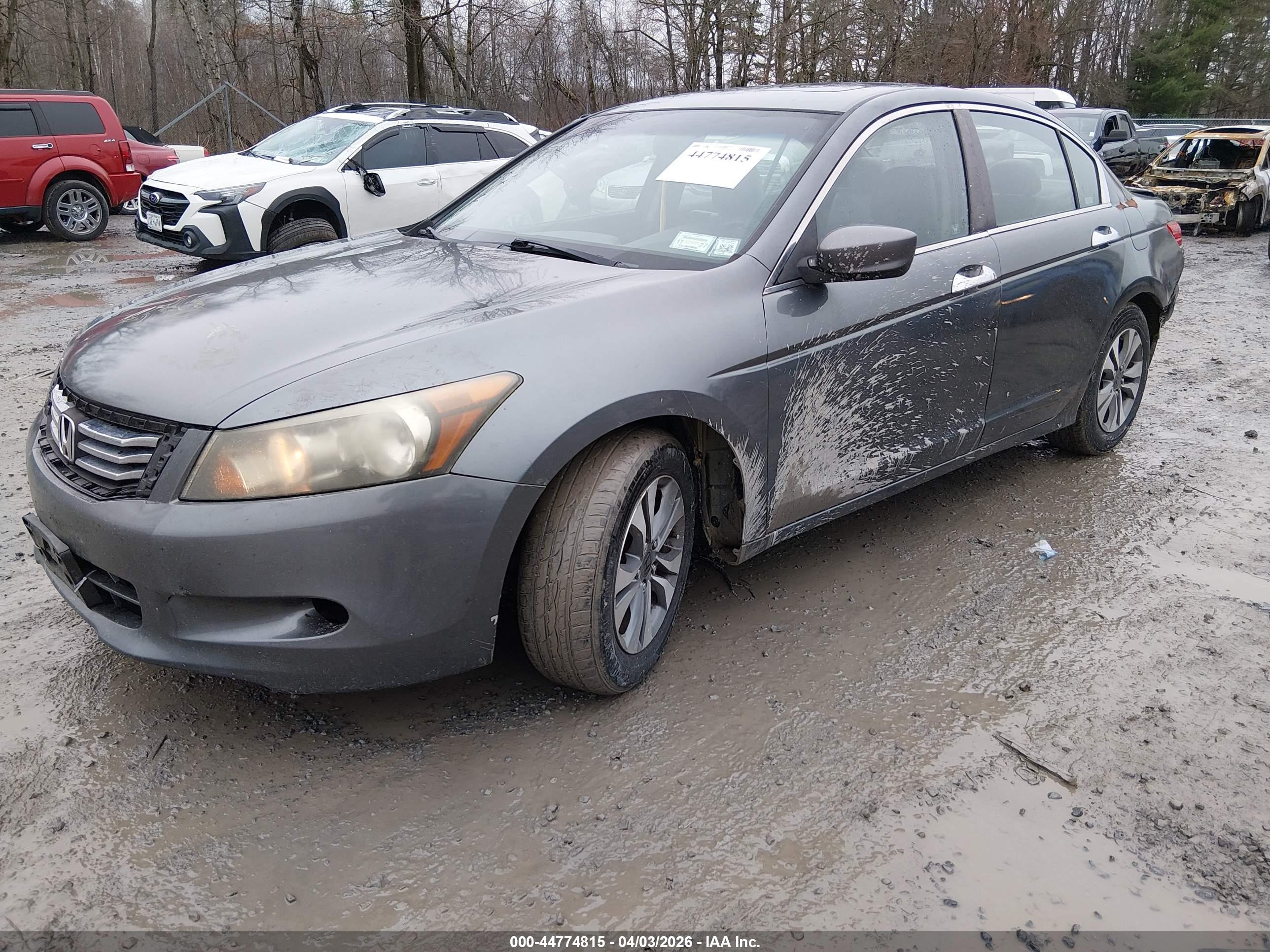 HONDA ACCORD image 2
