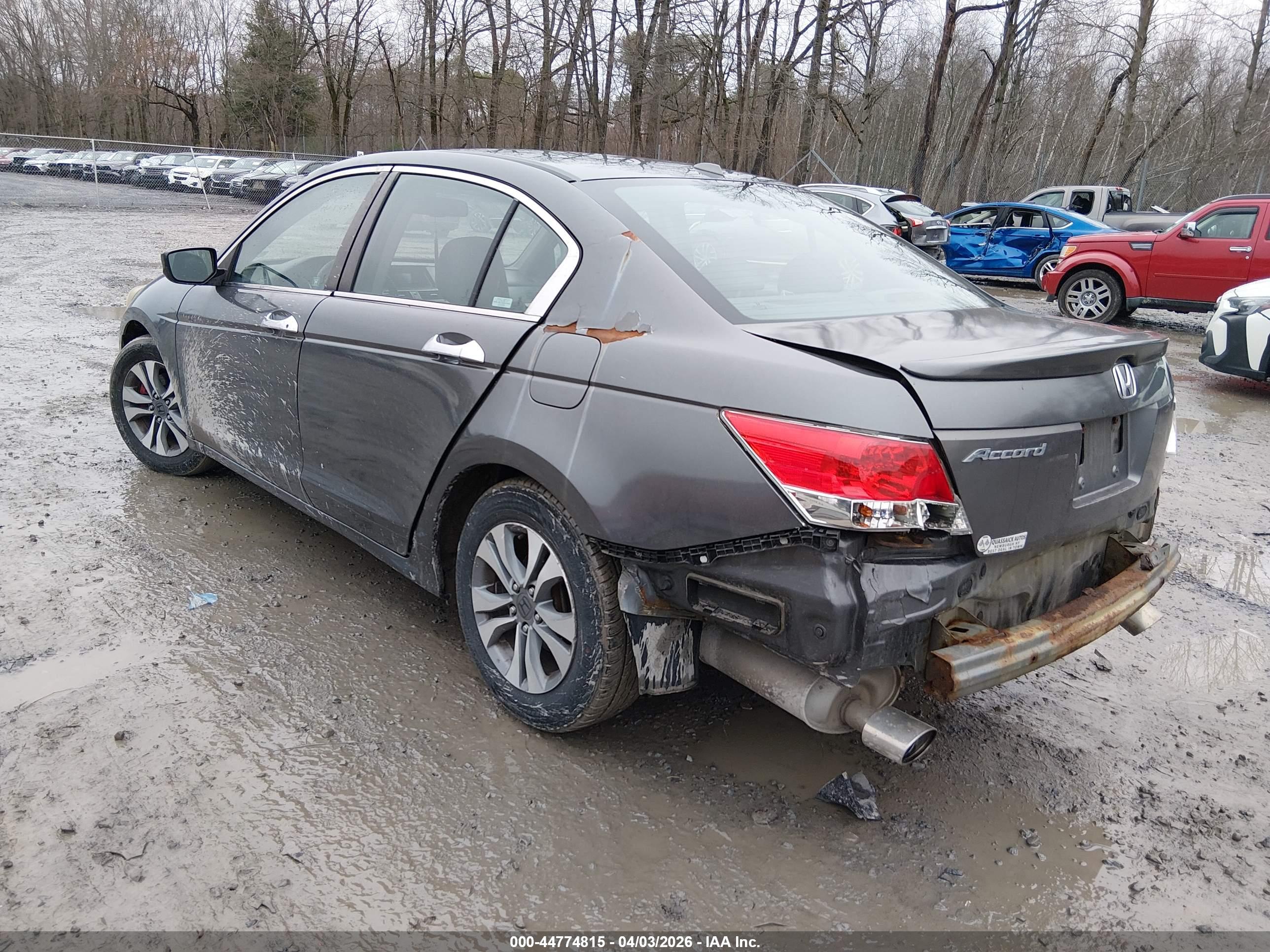 HONDA ACCORD image 3