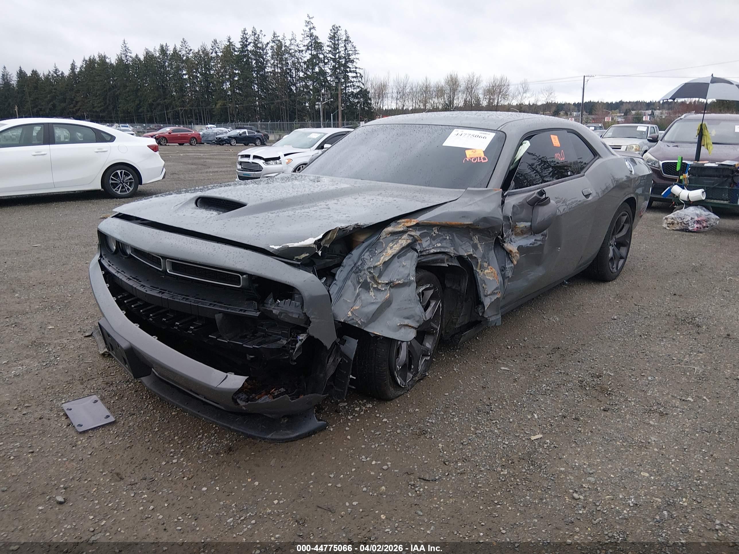 DODGE CHALLENGER image 2
