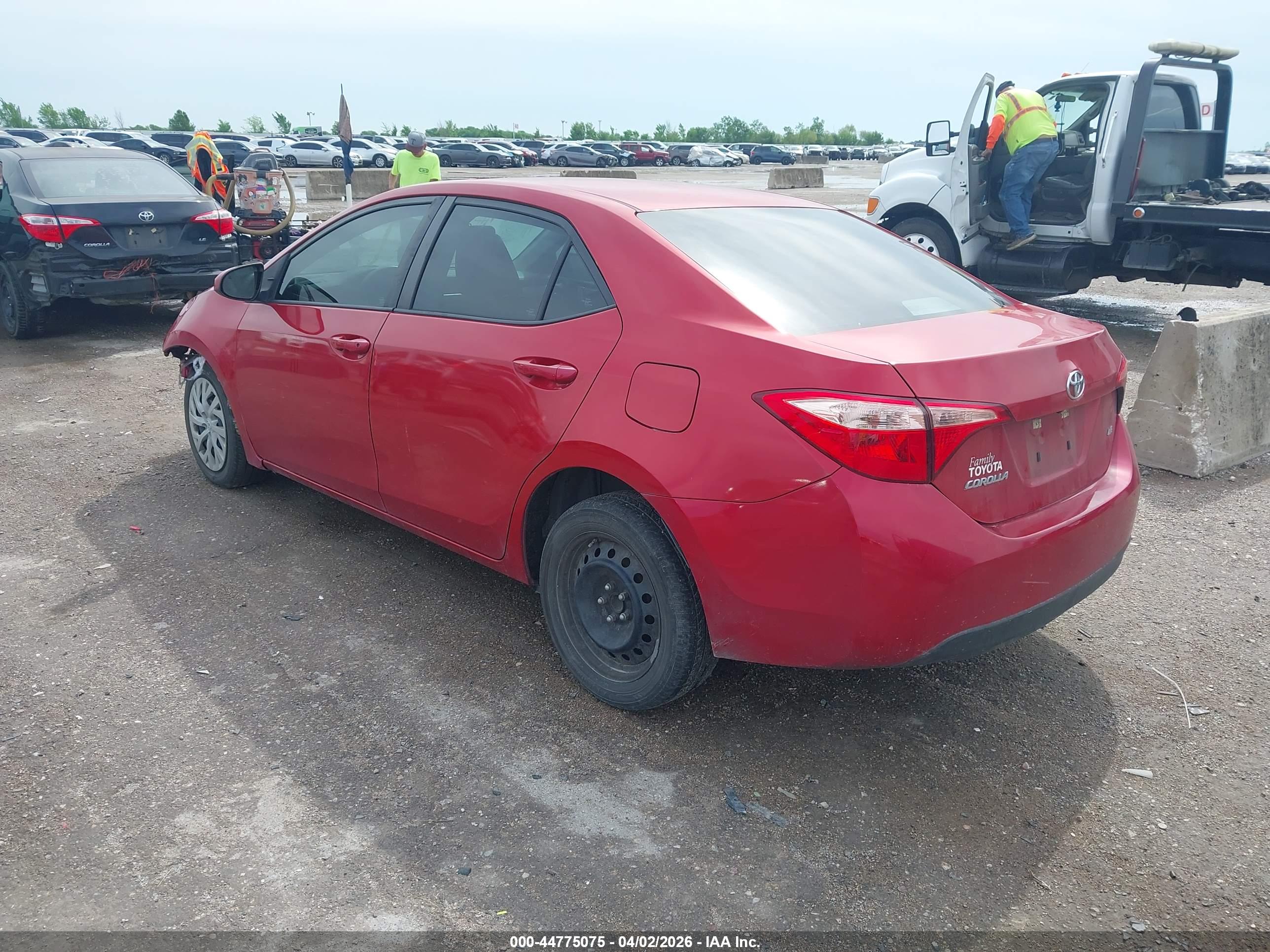 TOYOTA COROLLA image 3