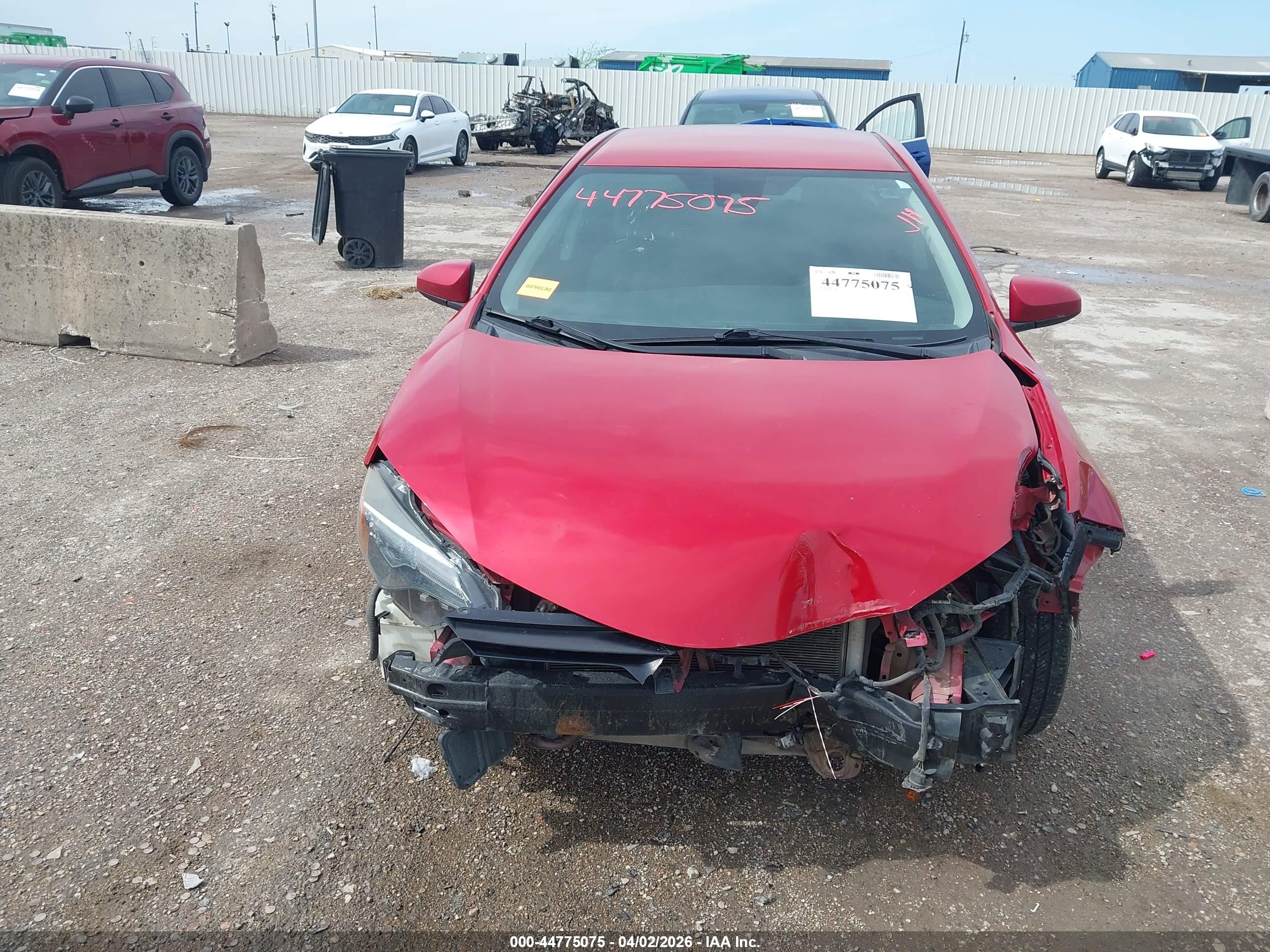 TOYOTA COROLLA image 6