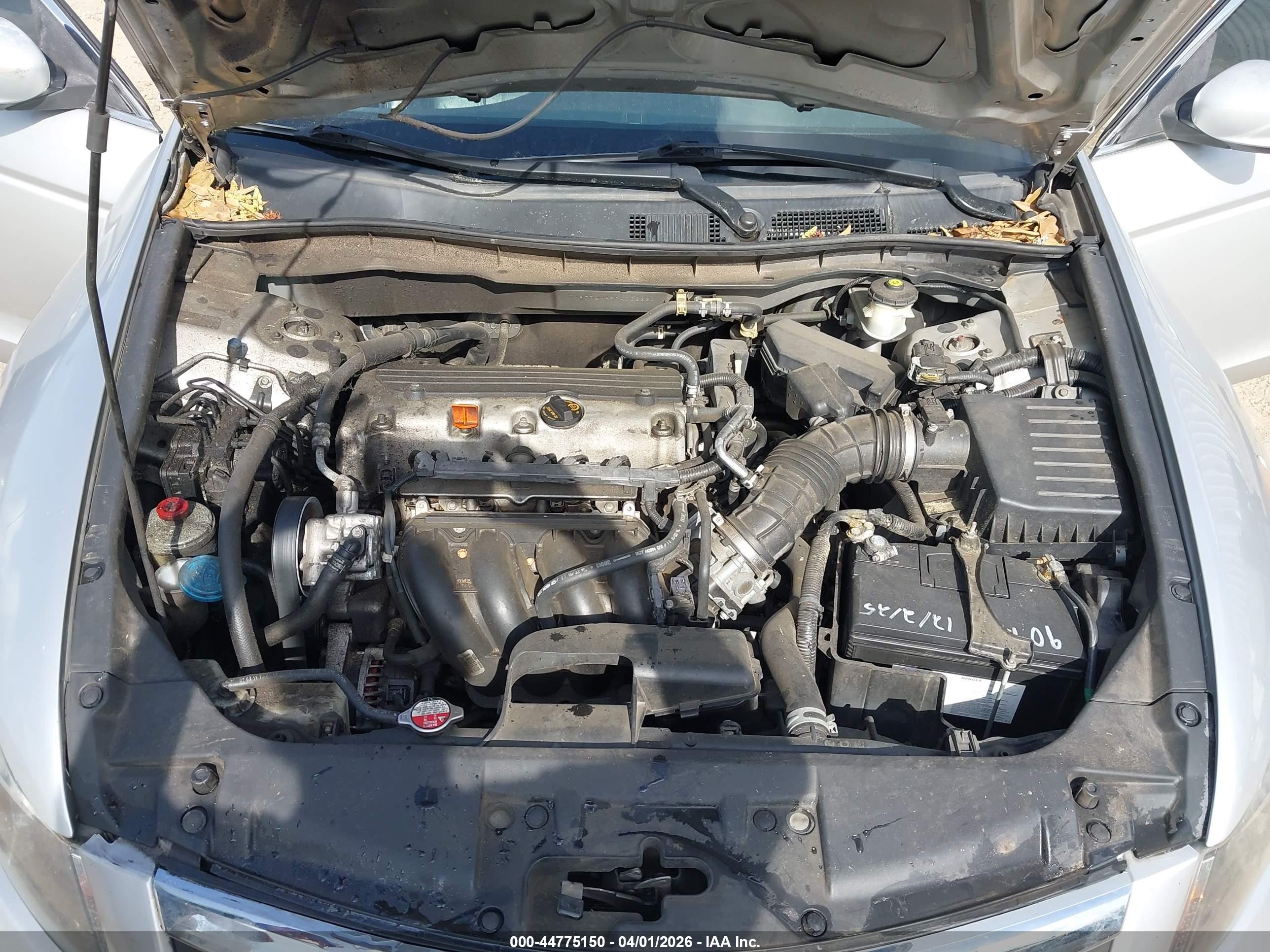 HONDA ACCORD image 10