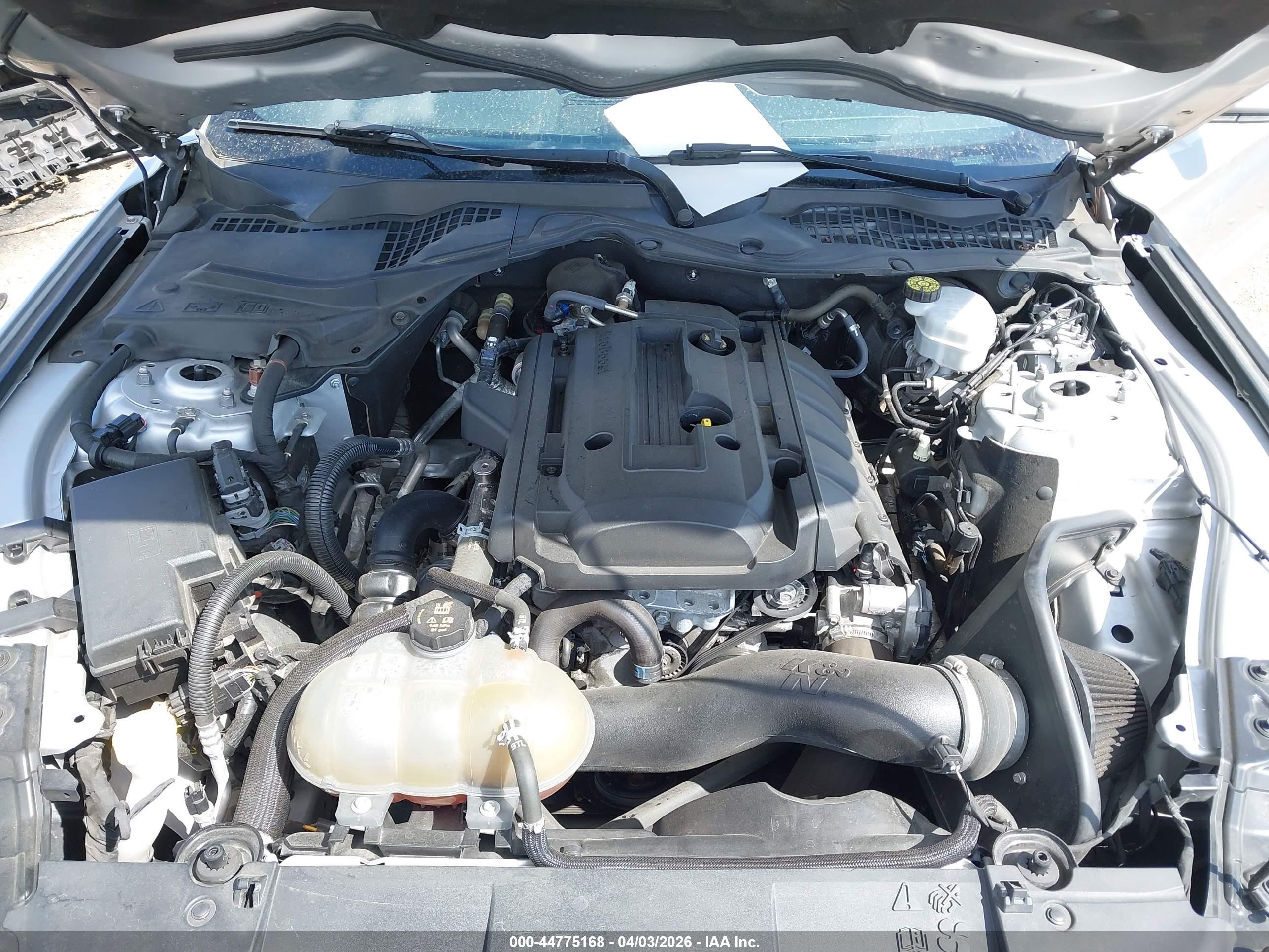 FORD MUSTANG image 10