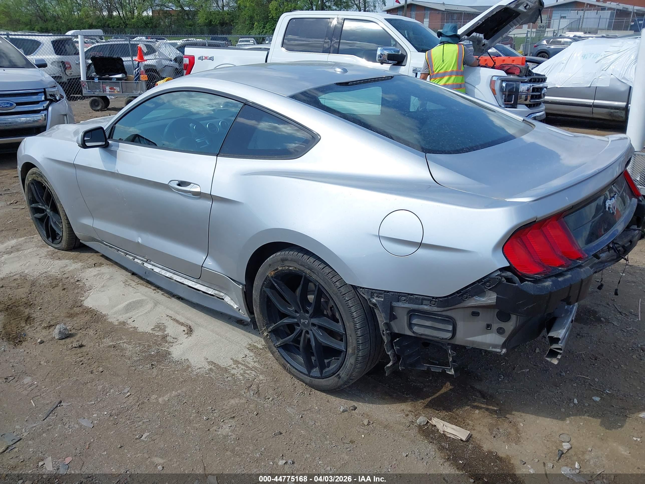 FORD MUSTANG image 3