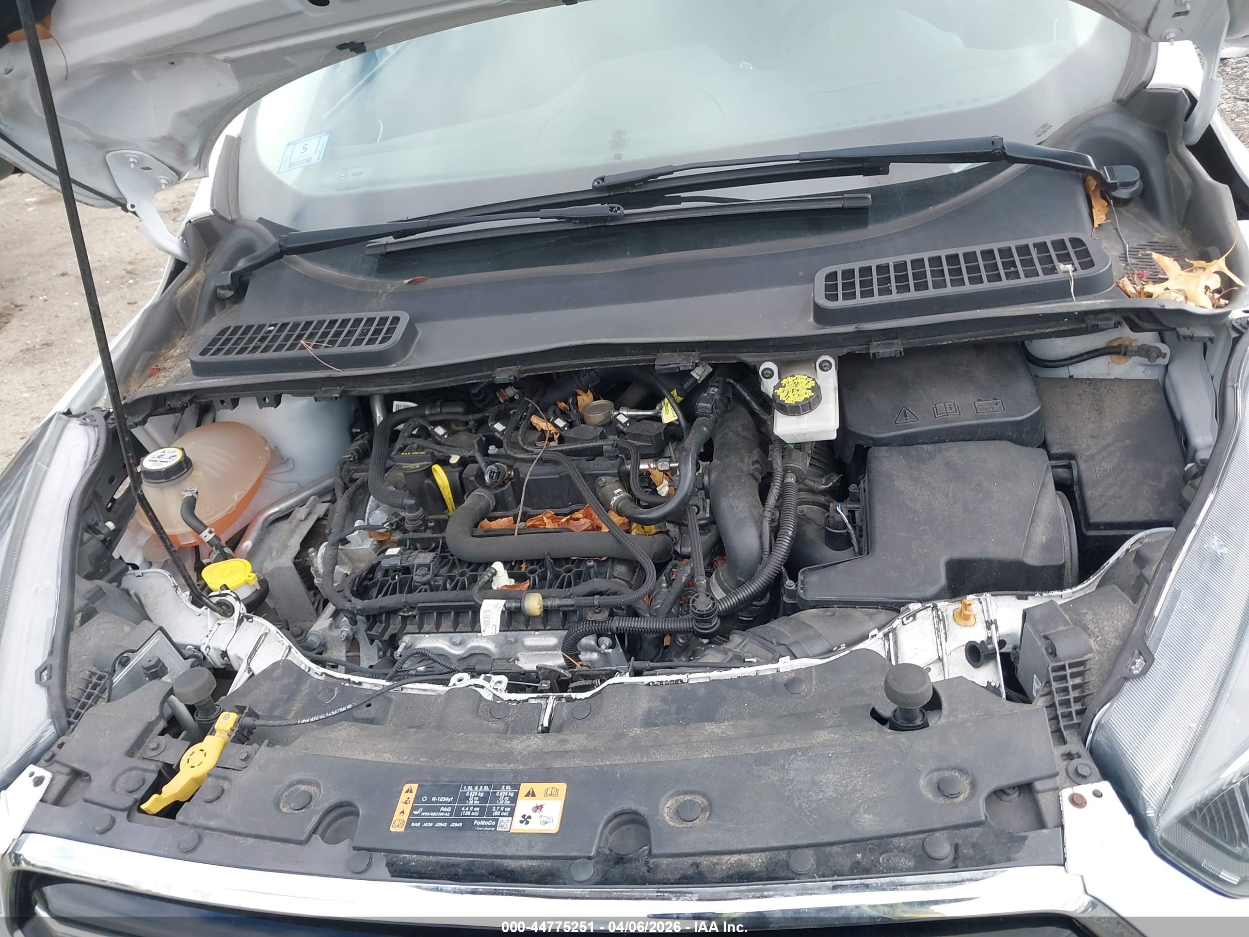 FORD ESCAPE image 10