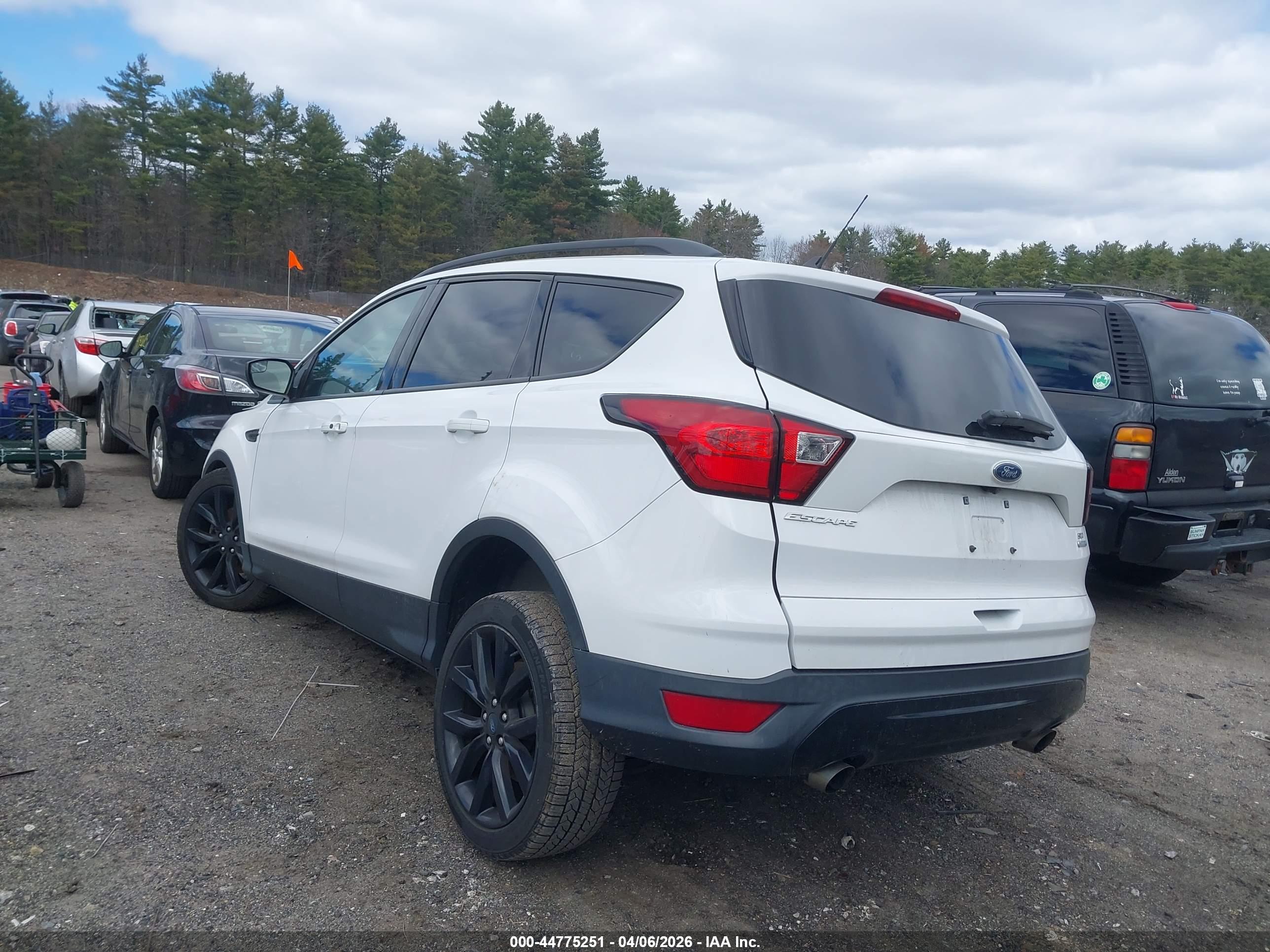 FORD ESCAPE image 3