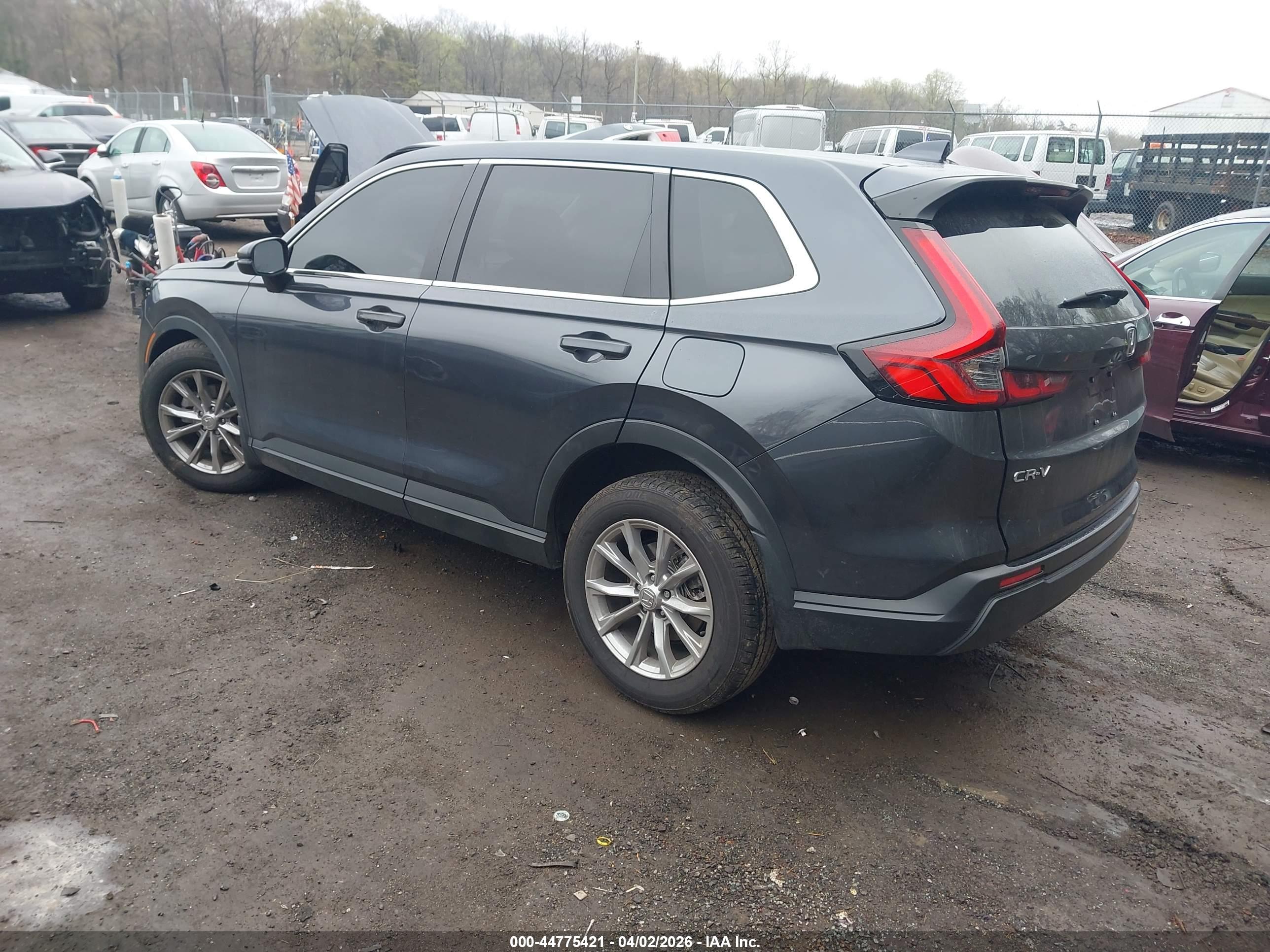 HONDA CR-V image 3