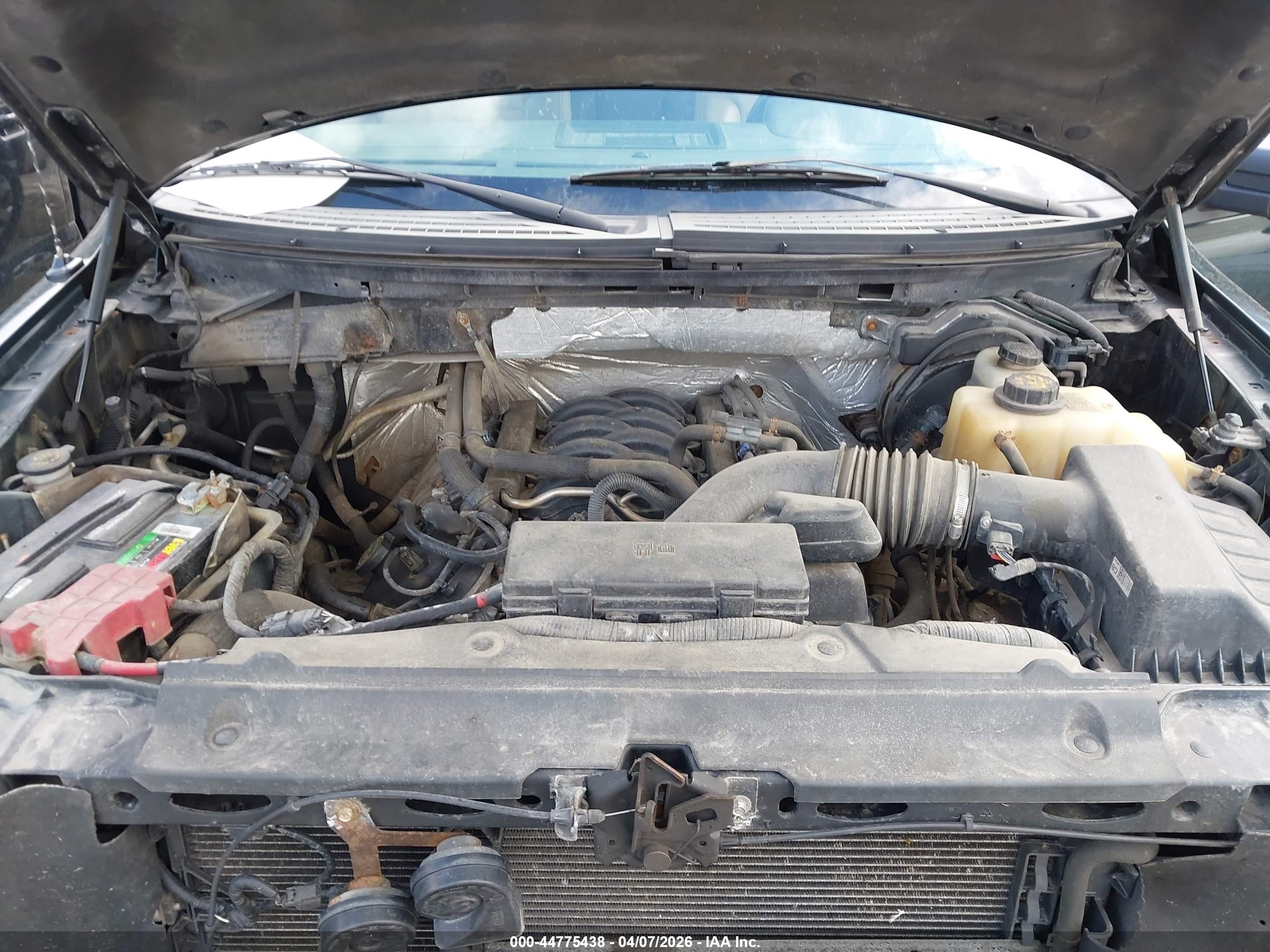 FORD F-150 image 10