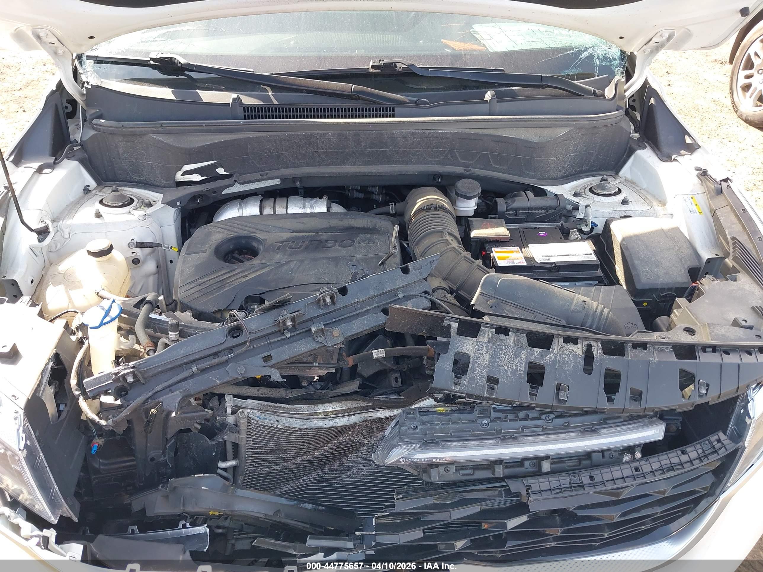 KIA SELTOS image 10