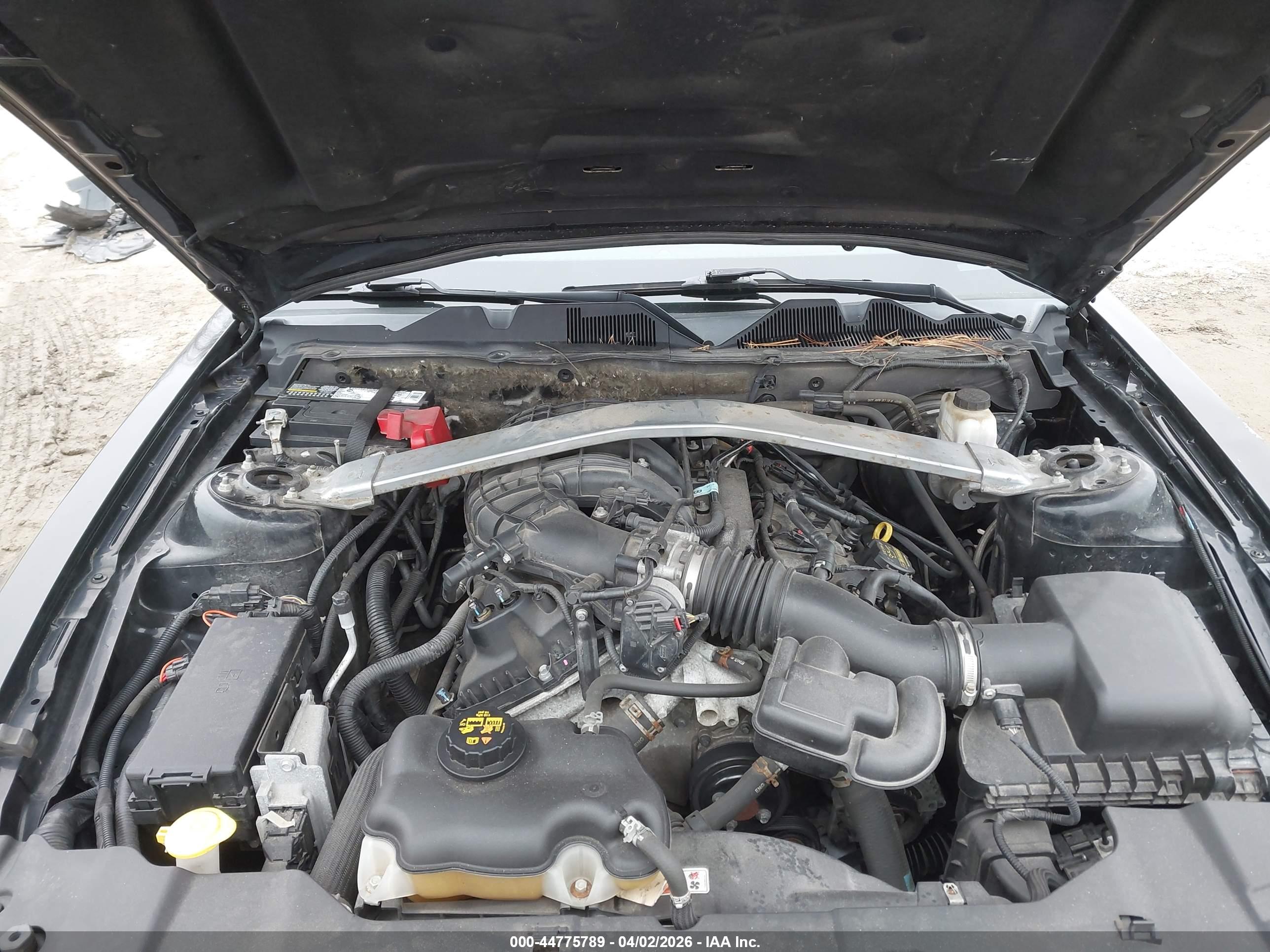 FORD MUSTANG image 10